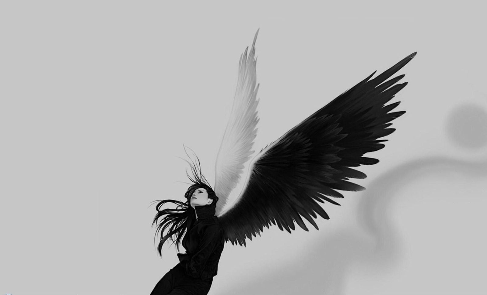 Черно белые Крылья