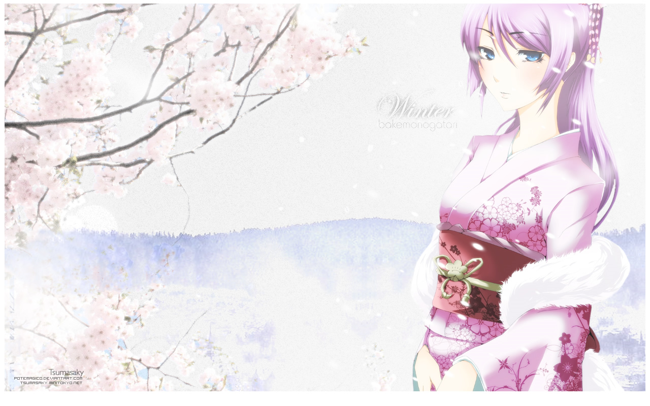 anime, monogatari (series), bakemonogatari, blue eyes, cherry blossom, hitagi senjōgahara, long hair, purple hair wallpapers for tablet