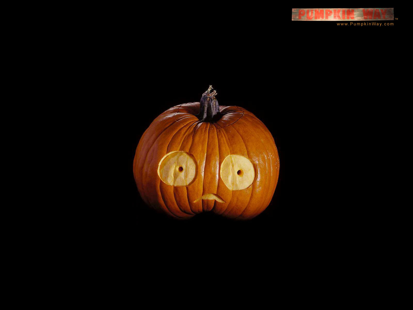 halloween, holiday, pumpkin