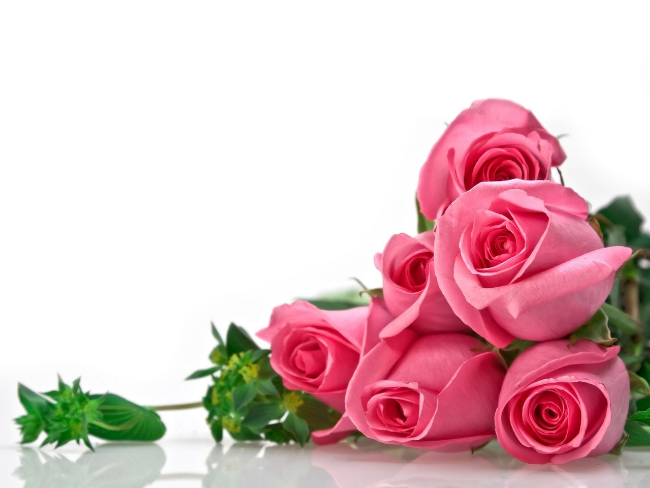 Download mobile wallpaper Holidays, Plants, March 8 International Women's Day (Iwd), Flowers, Roses for free.
