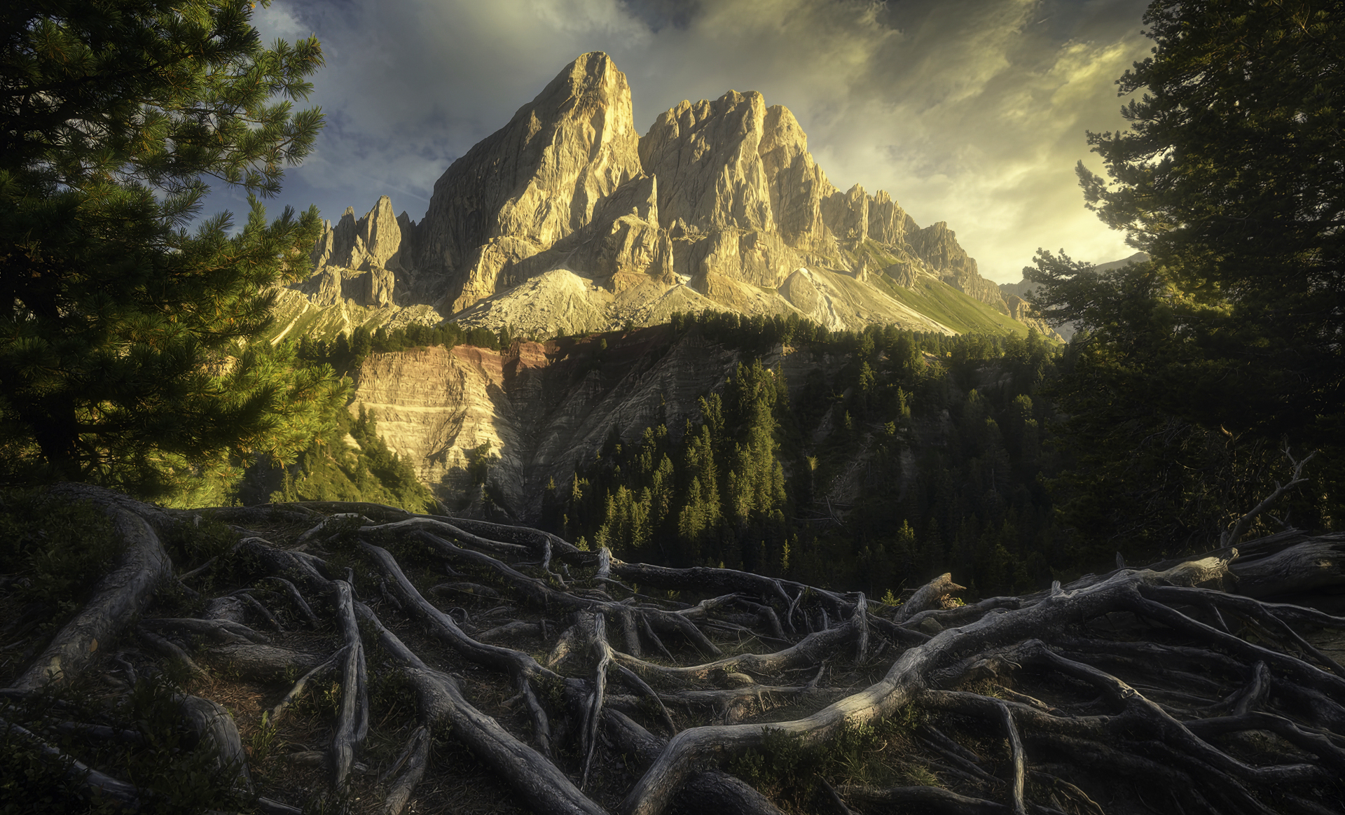 earth, mountain, landscape, roots, mountains