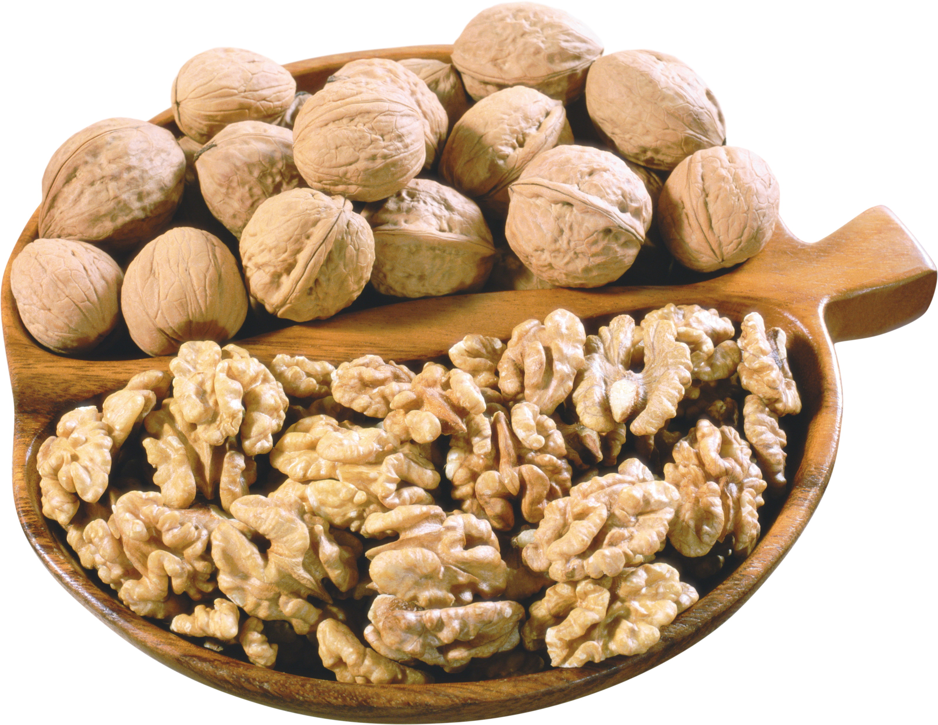 Картинка орешки грецкие