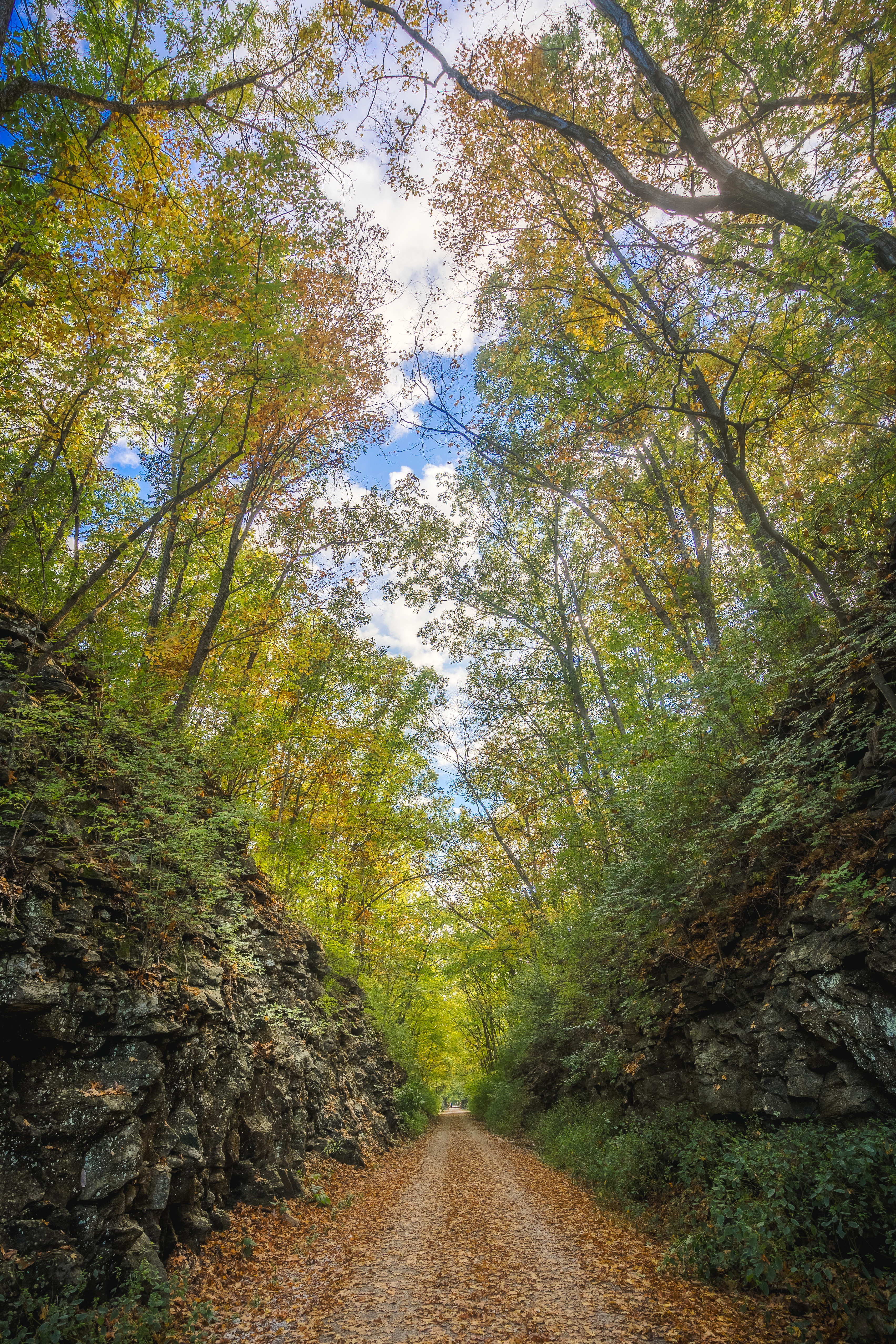 Download mobile wallpaper Rock, Alley, Stone, Nature, Road, Foliage for free.