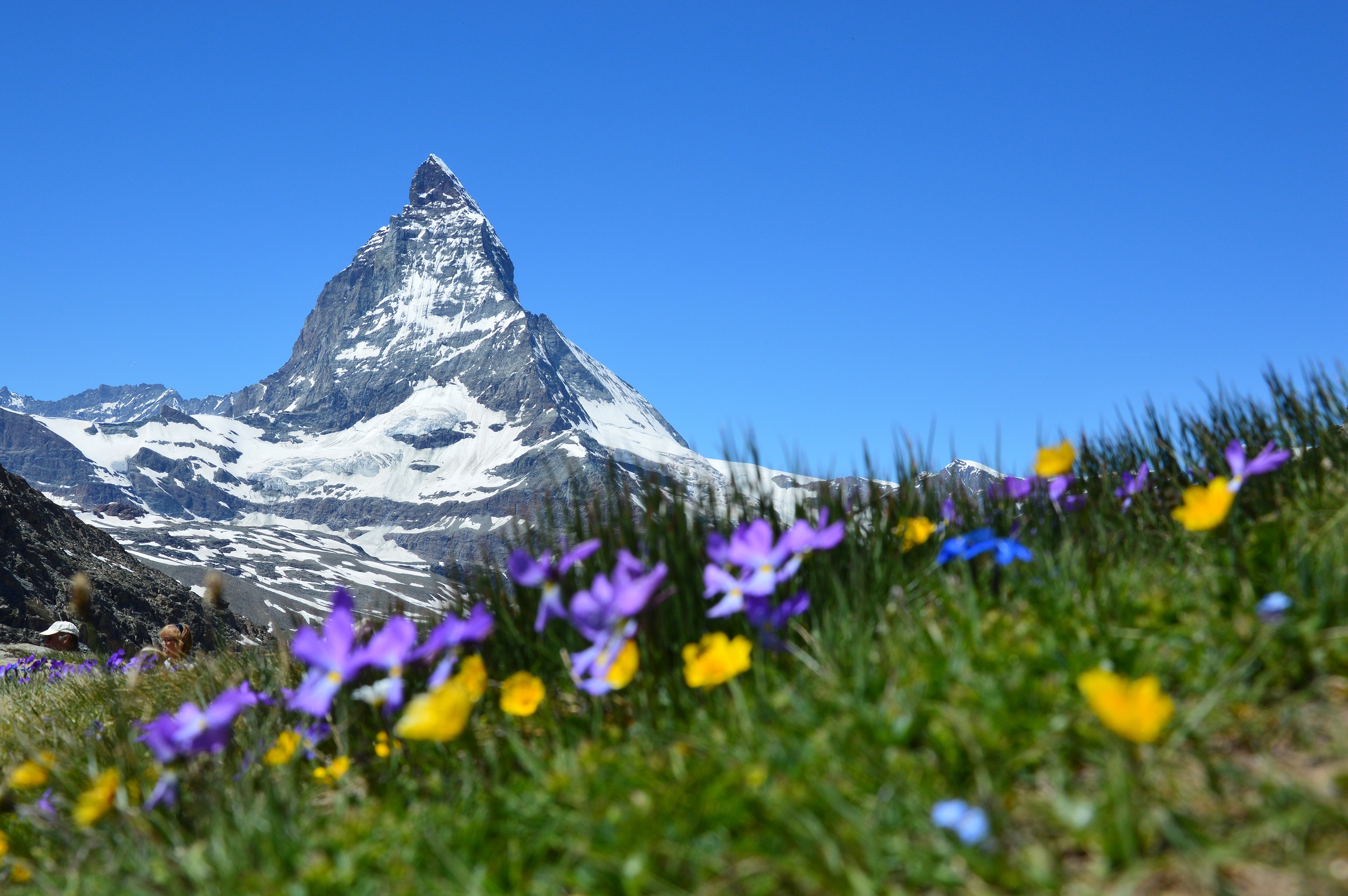 alps, nature, mountains, switzerland, zermatt, matterhorn HD wallpaper