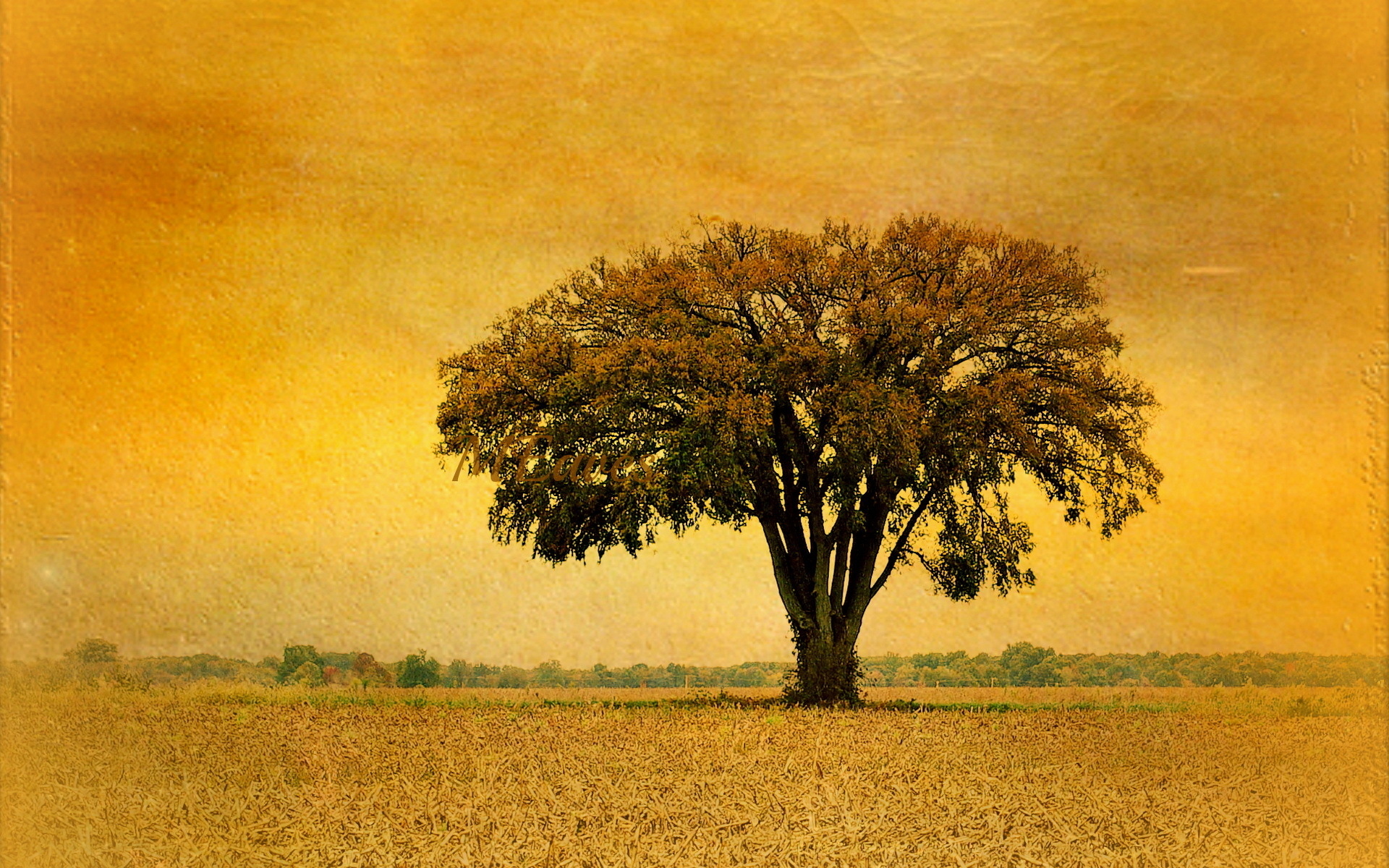 Одинокое дерево в пейзаже на картине