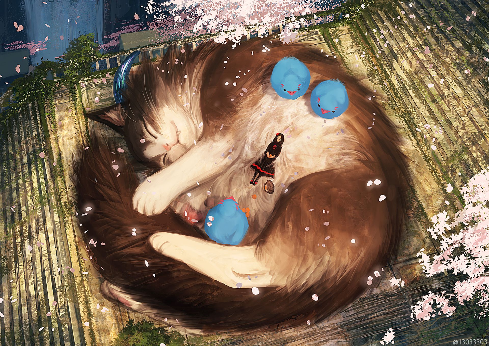 cat, anime, bird, cherry blossom, dress, petal, sleeping HD wallpaper