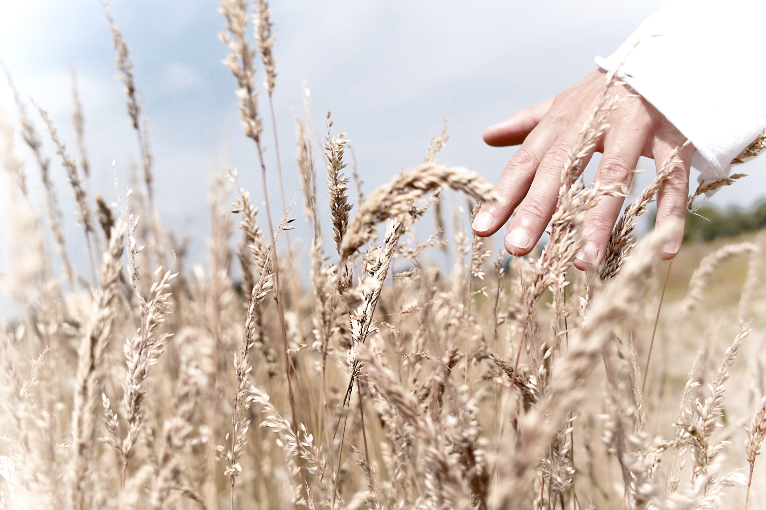 android touch, grass, hand, miscellanea, miscellaneous, field, touching