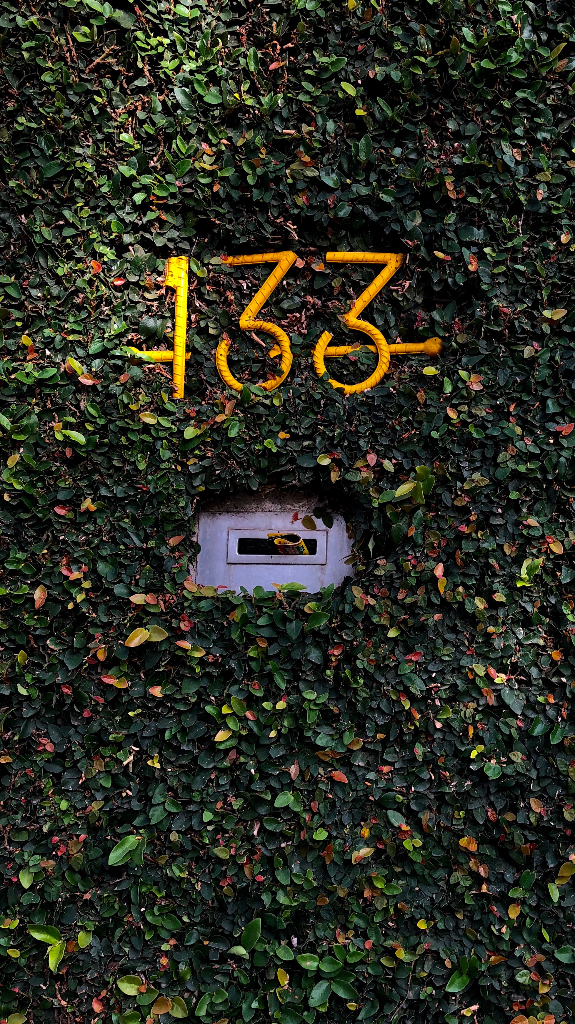 117160 Hintergrundbild herunterladen pflanze, verschiedenes, sonstige, zimmer, laub, anzahl, briefkasten, postfach - Bildschirmschoner und Bilder kostenlos