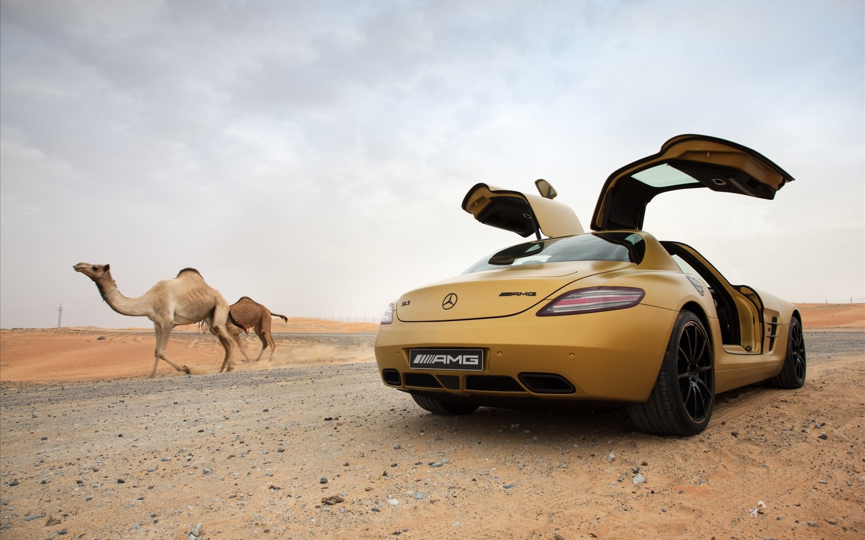 mercedes amg sls desert gold