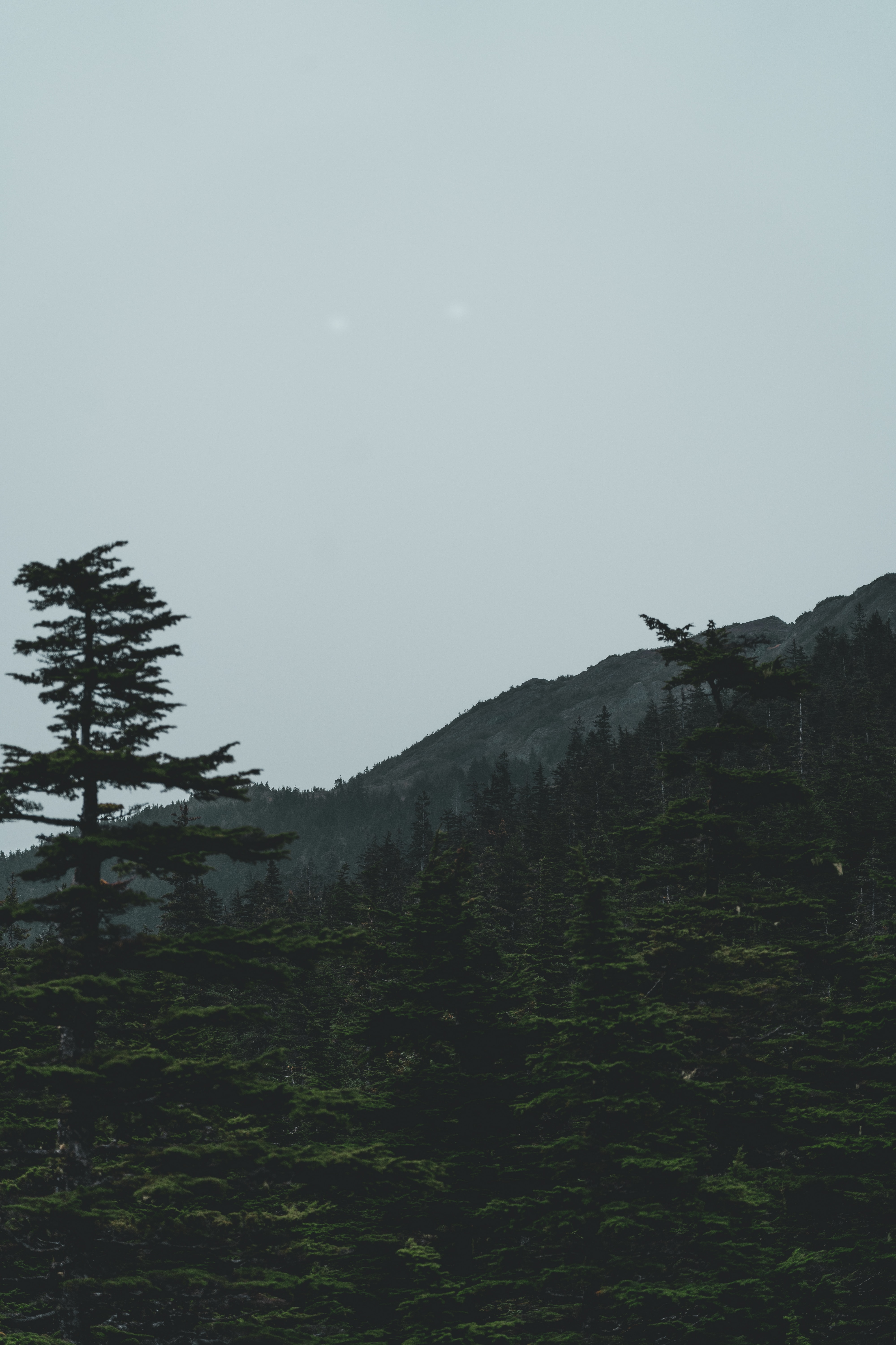 Download mobile wallpaper Coniferous, Trees, Mountains, Forest, Nature, Dark for free.