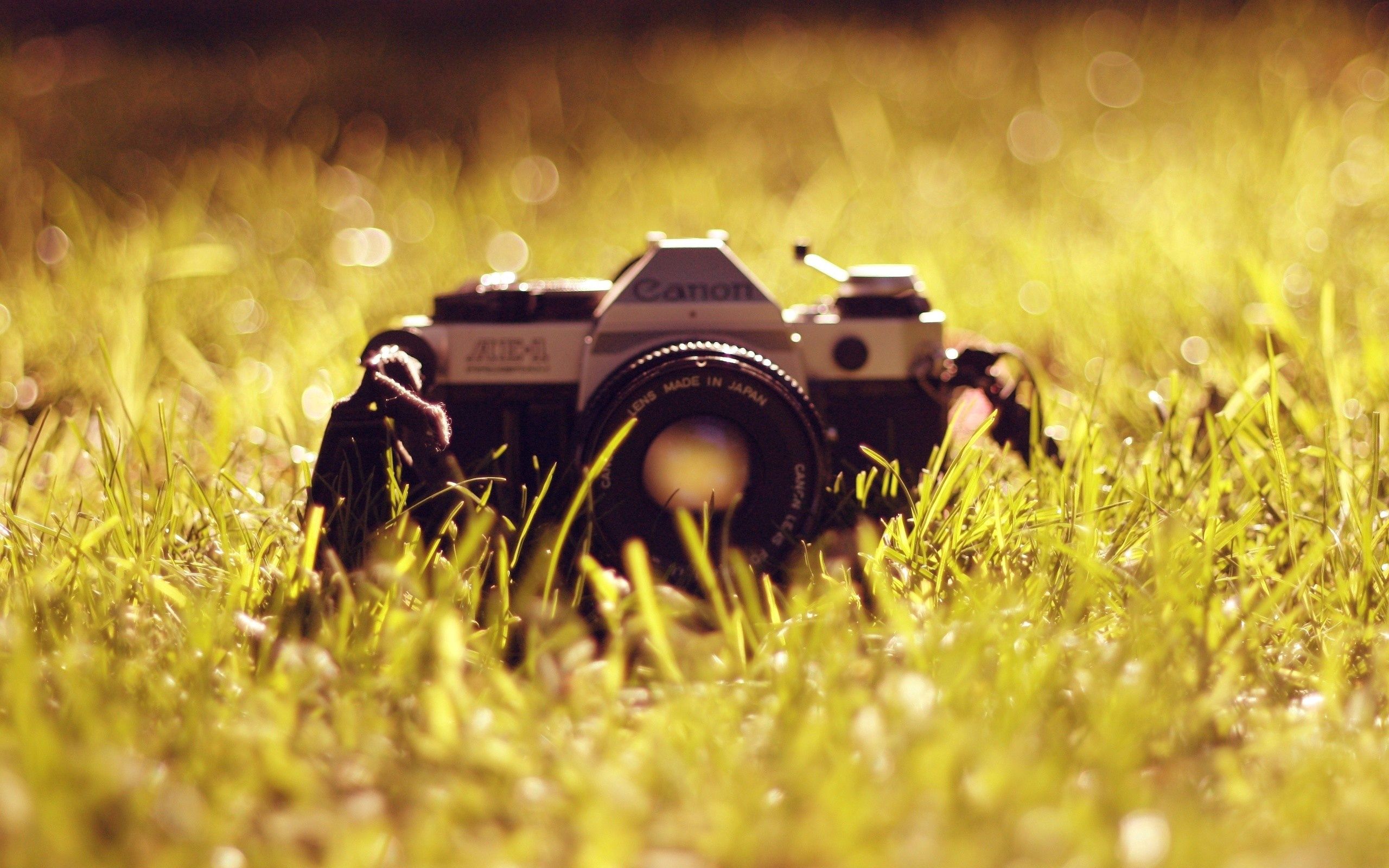 Фотоаппарат на траве