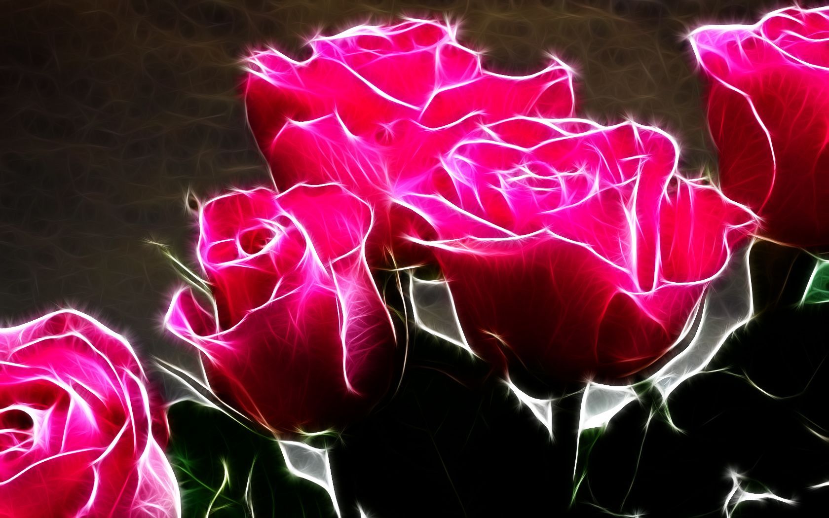 28206 baixar papel de parede rosas, plantas, flores, fundo - protetores de tela e imagens gratuitamente