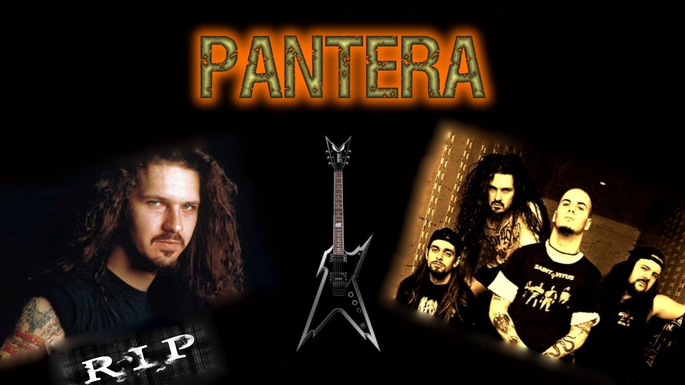 dimebag darrell, music, pantera, guitar, guitarist, heavy metal, thrash metal