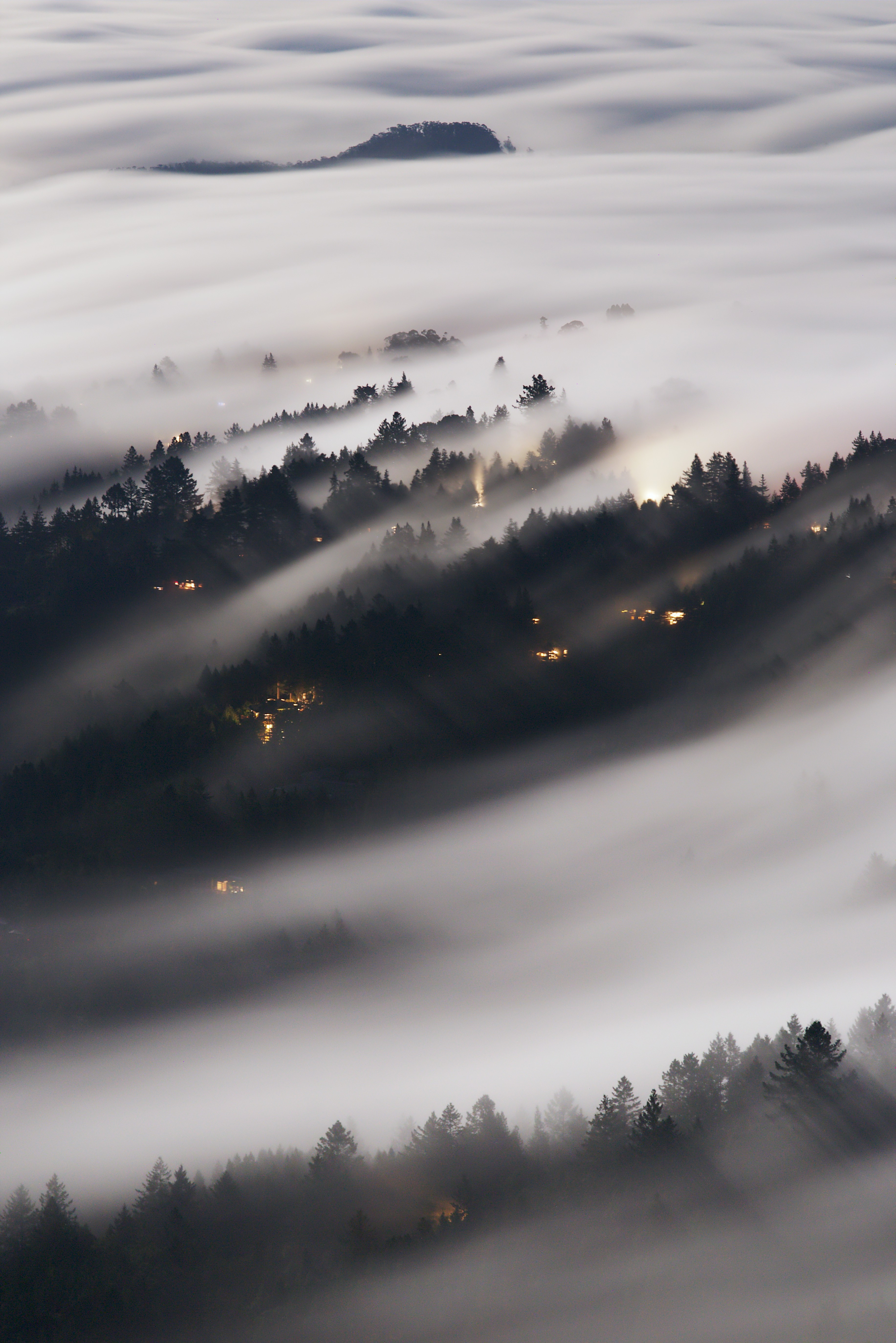 view from above, nature, trees, shine, forest, fog, brilliance Desktop home screen Wallpaper