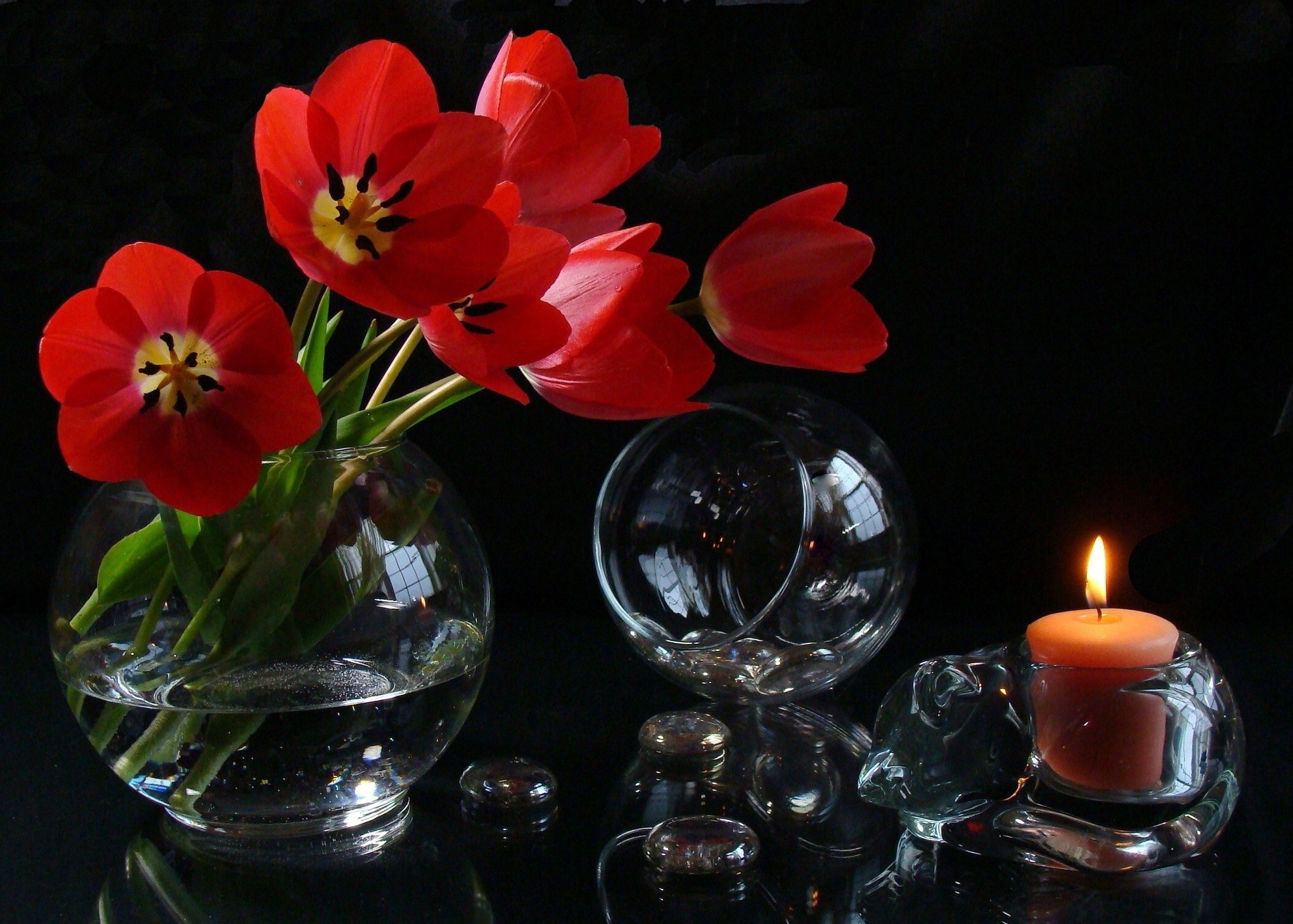 flowers, miscellanea, miscellaneous, candle, glasses, goblets cellphone