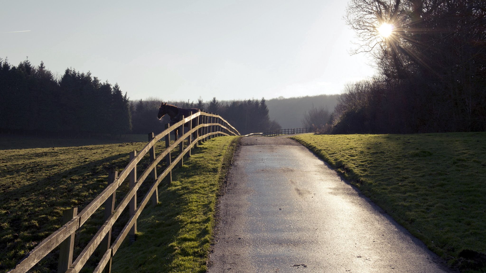 Download mobile wallpaper Nature, Fence, Road, Horse for free.
