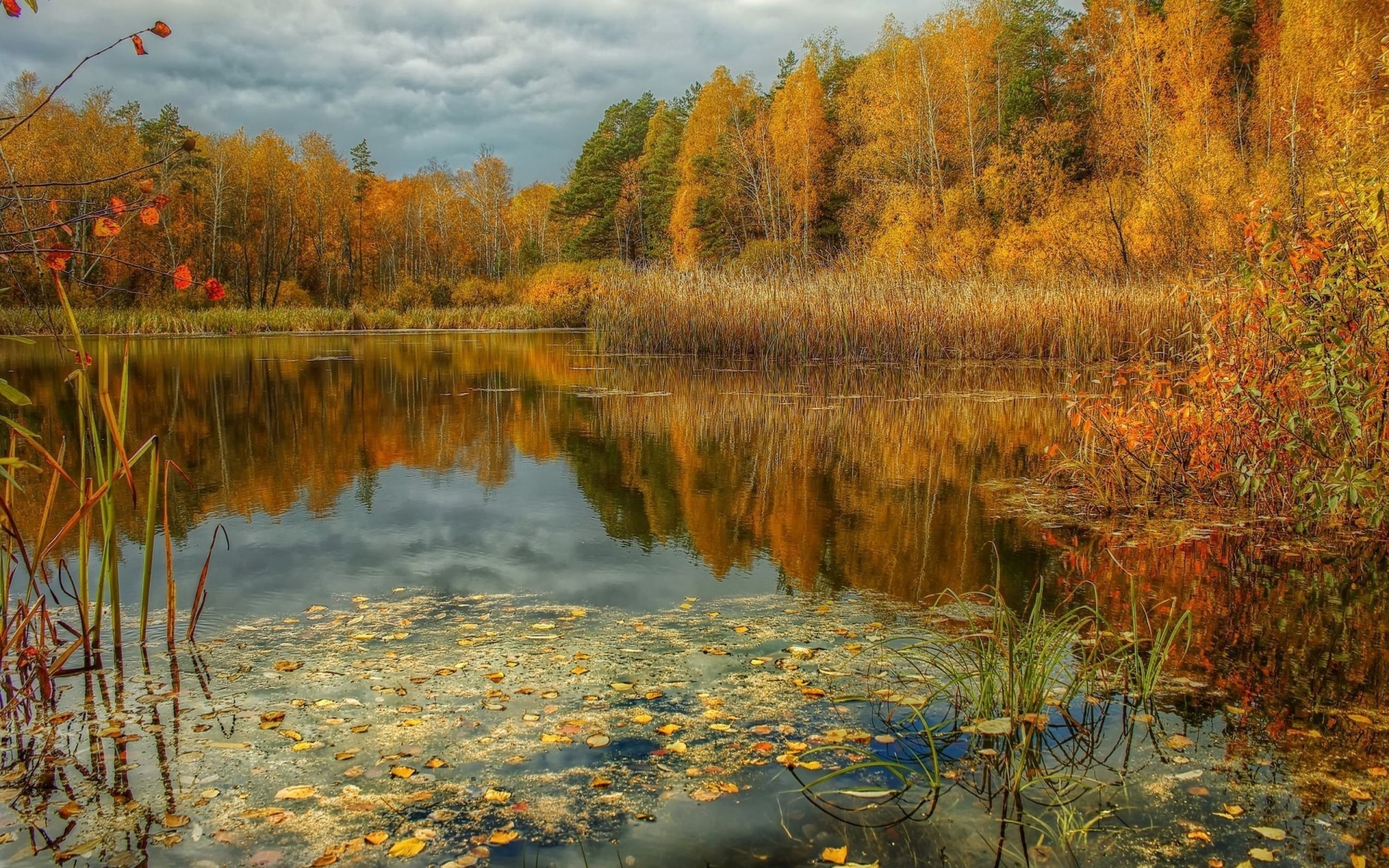 Золотая осень озеро природа река лес