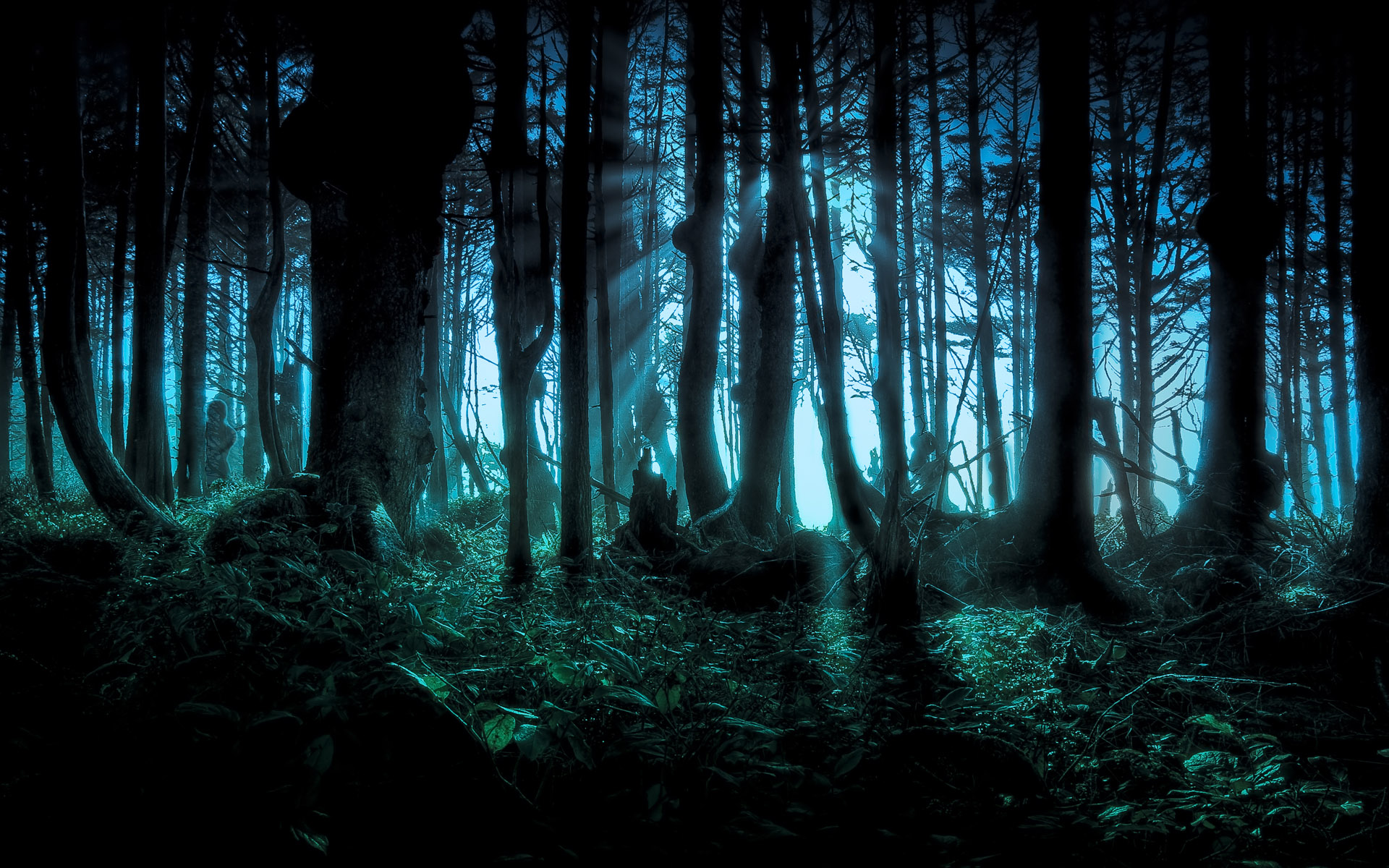 dark, forest, creepy, night, wood, spooky, tree mobile wallpaper
