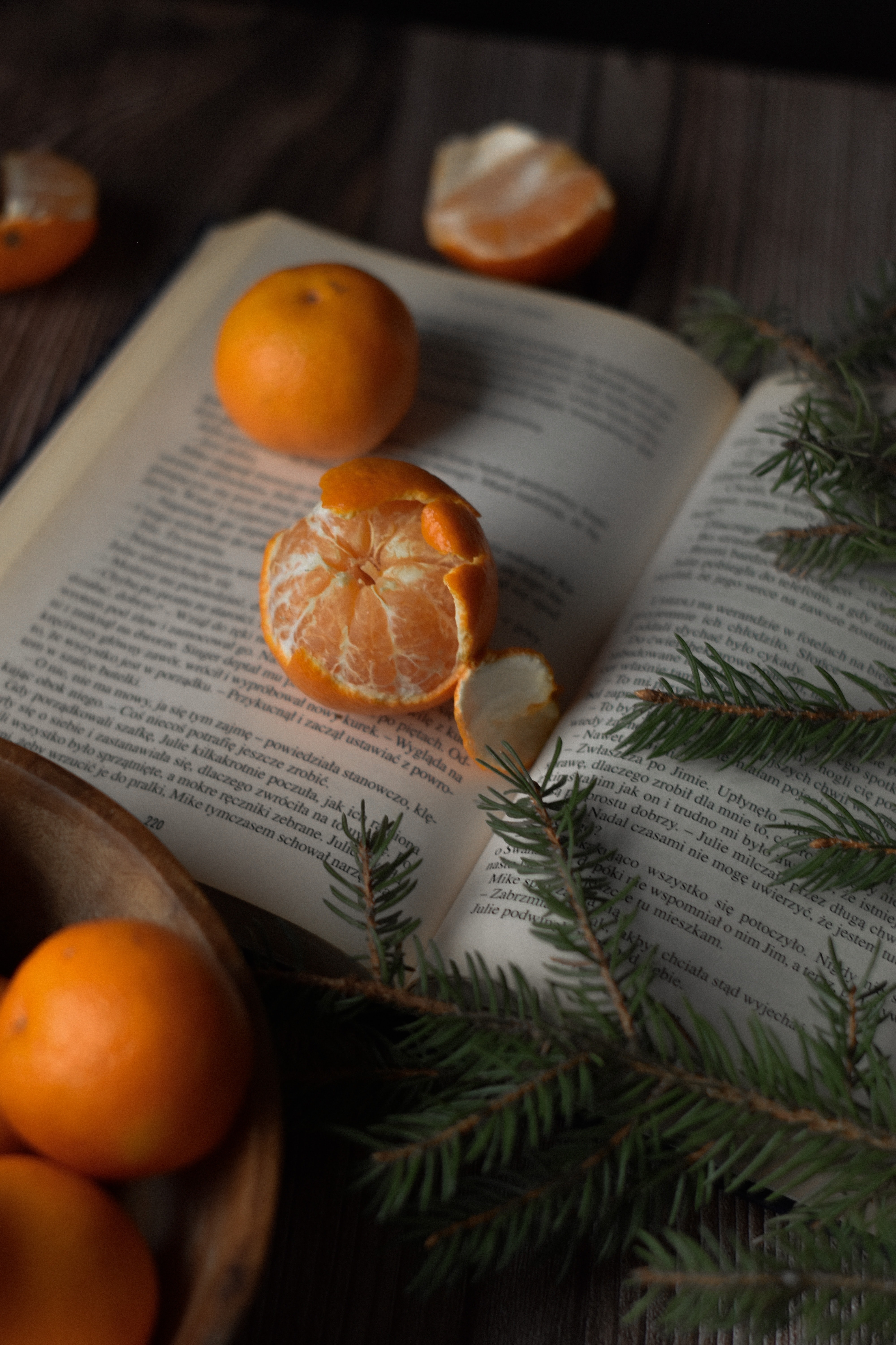 branches, book, food, tangerines, spruce, fir, fruit, citrus HD wallpaper
