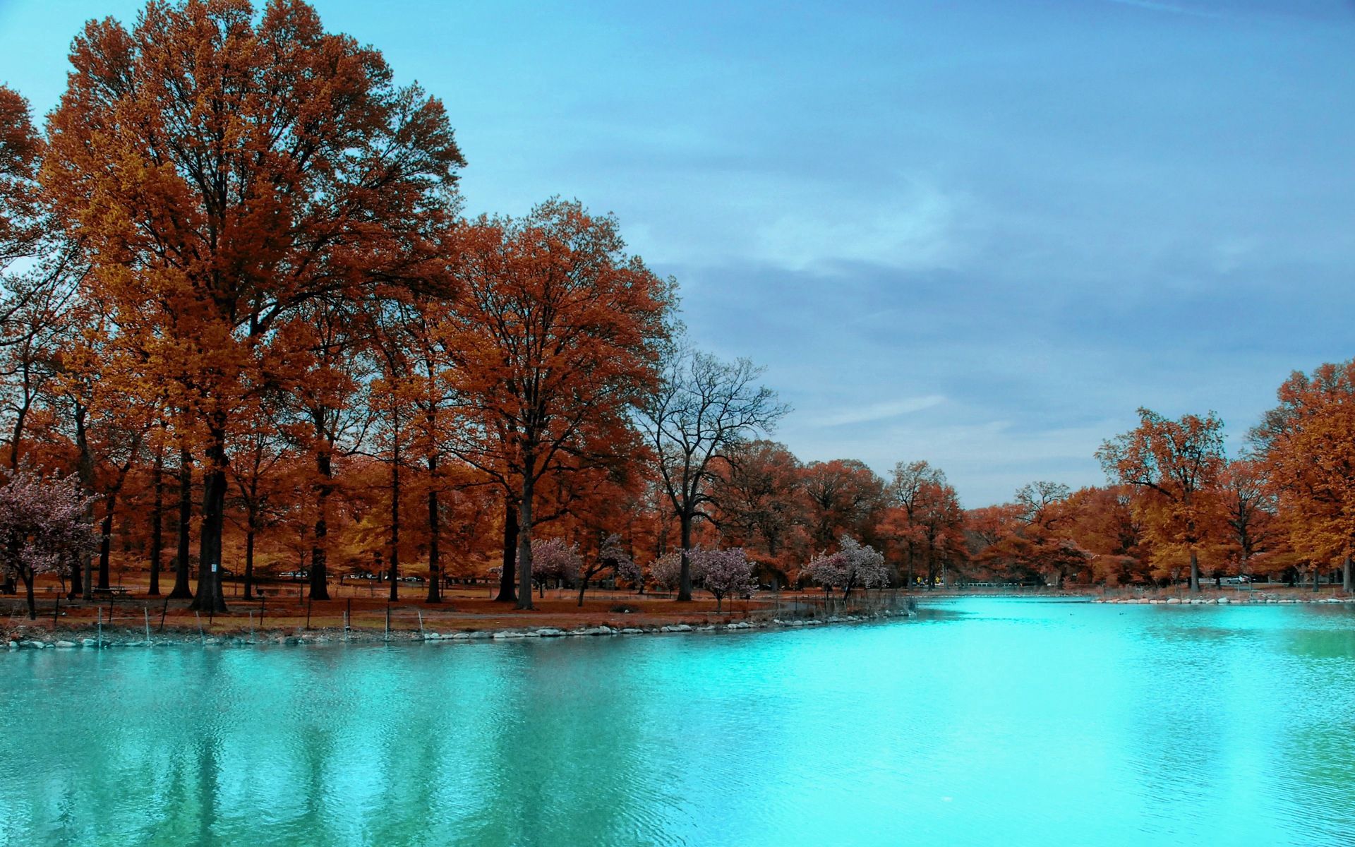 autumn, park, nature, trees, blue water Aesthetic wallpaper