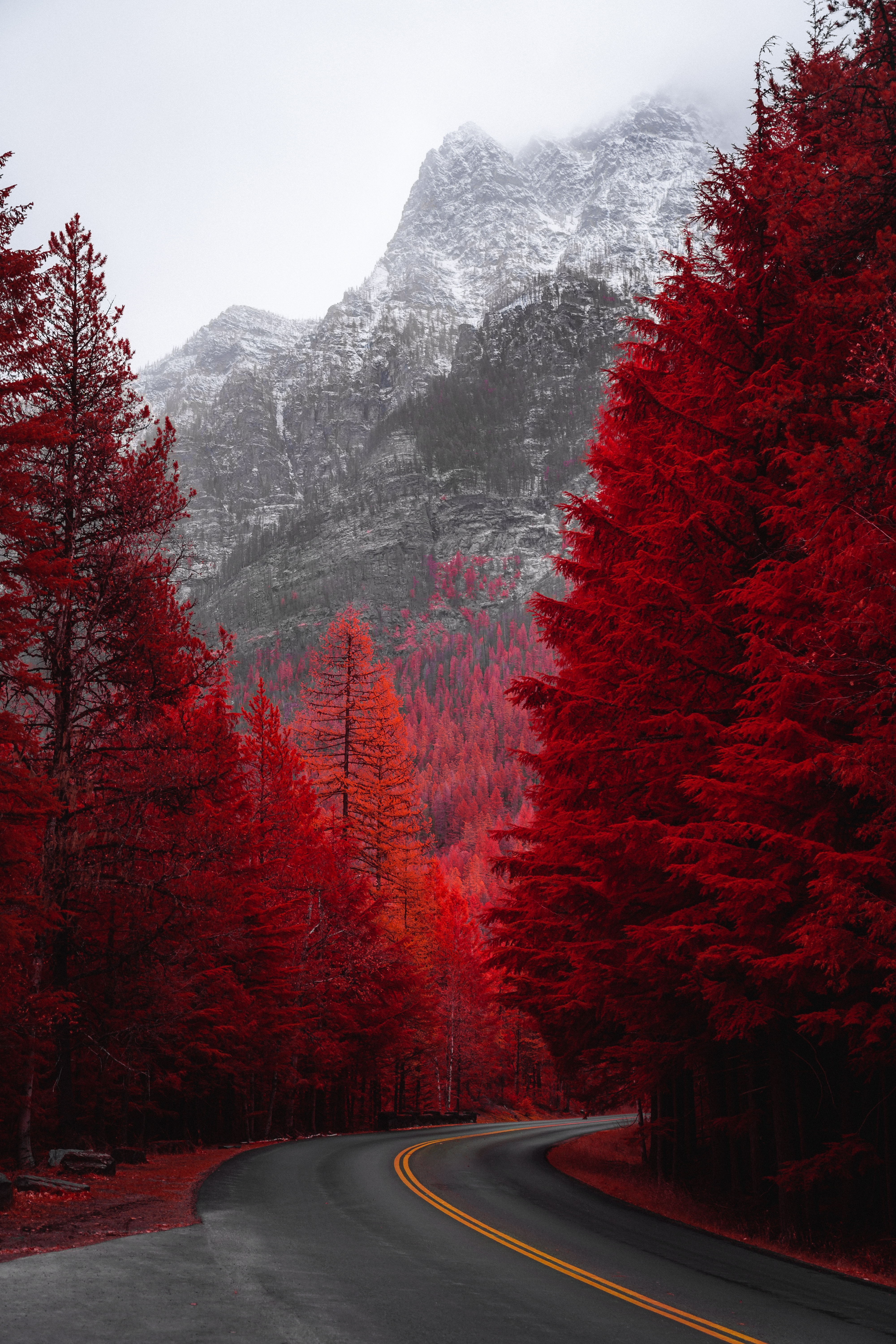nature, landscape, mountain, trees, red, road, turn Full HD