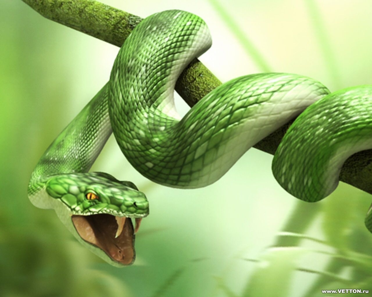 HD wallpaper snakes, animals, art, green