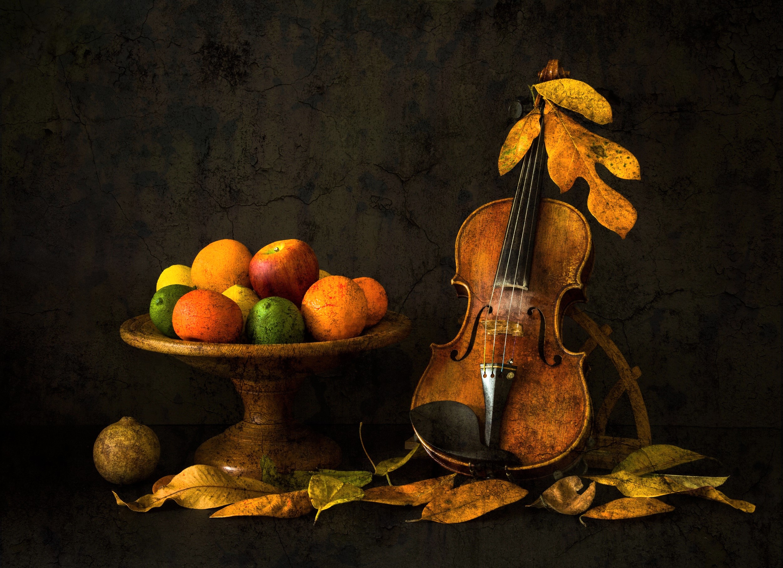 photography, still life, bowl, fall, fruit, leaf, violin Free Background