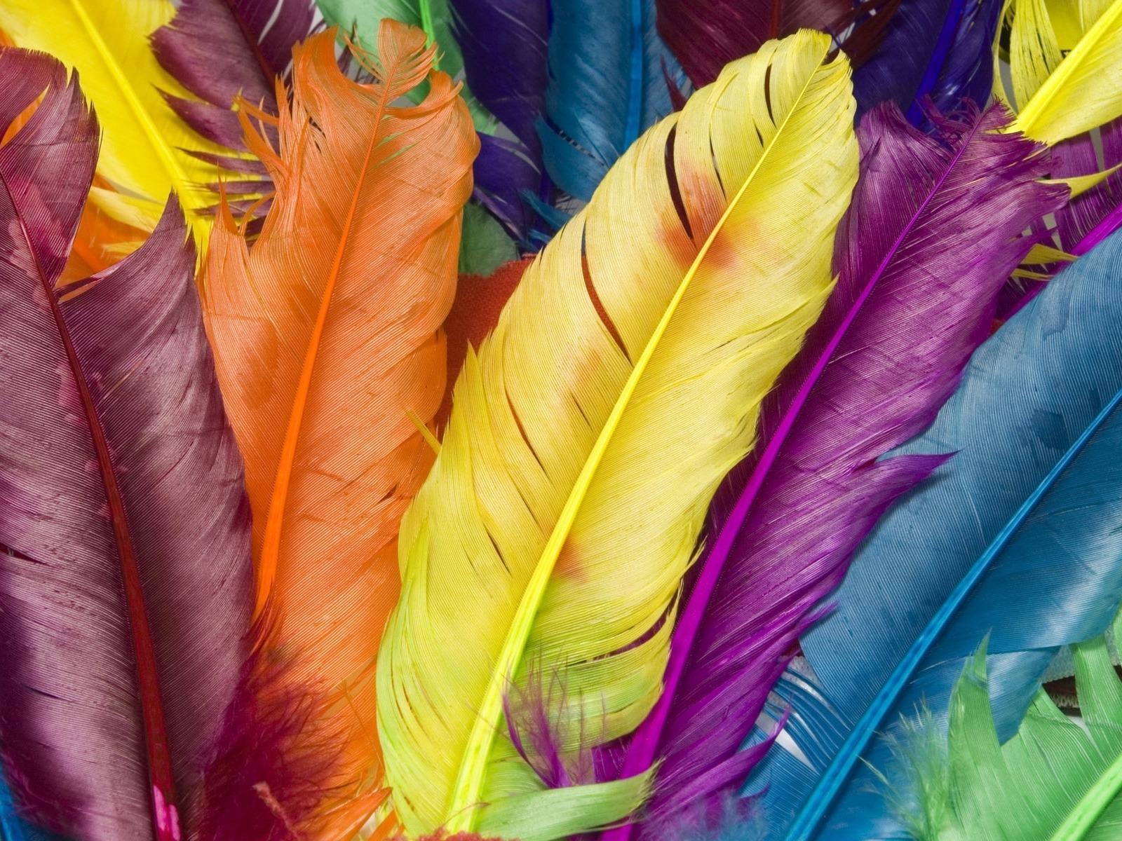 Free download wallpaper Background, Feather on your PC desktop