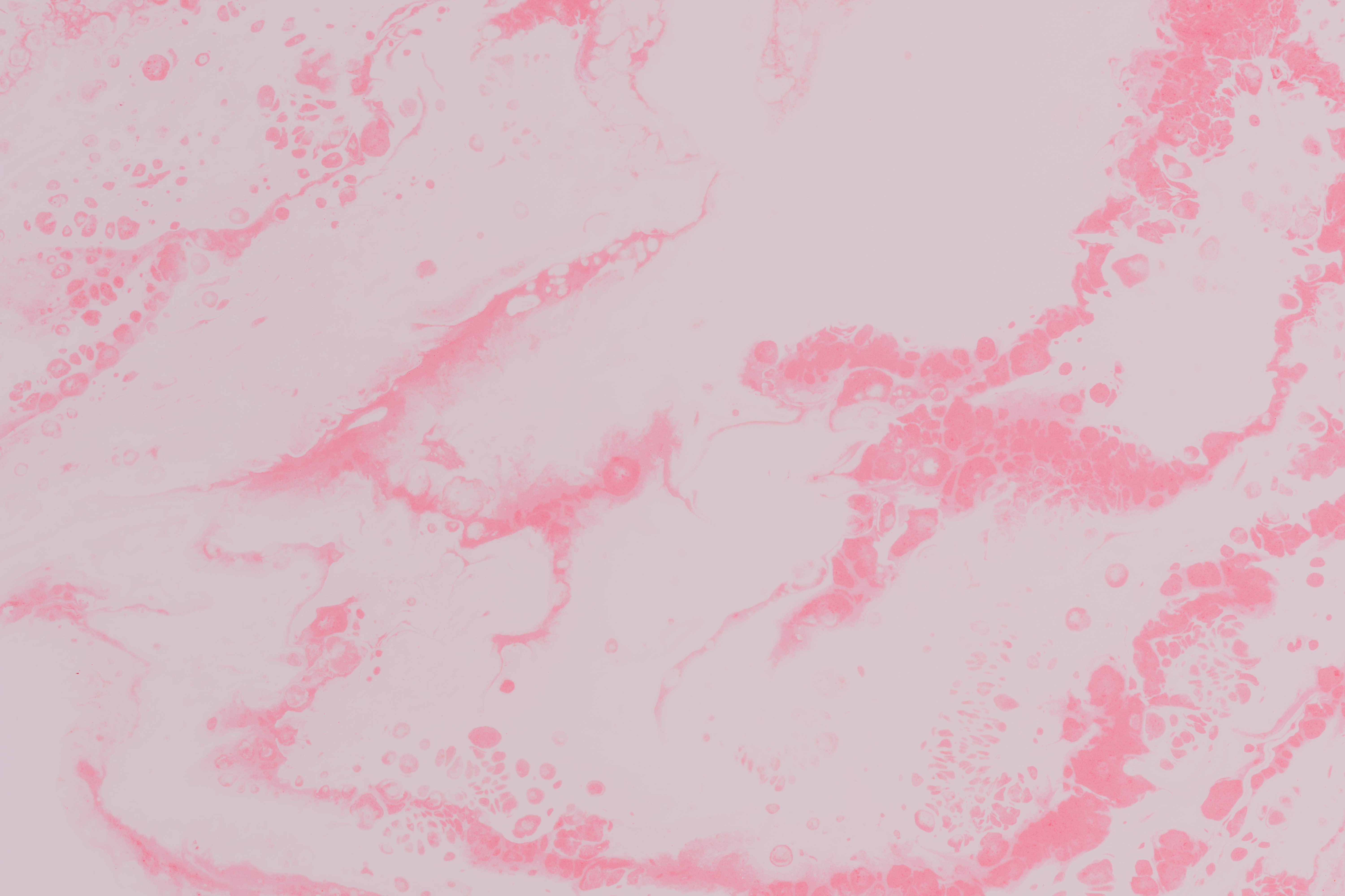 Free download wallpaper Pink, Divorces, Paint, Spots, Abstract, Stains, Liquid, Fluid Art on your PC desktop