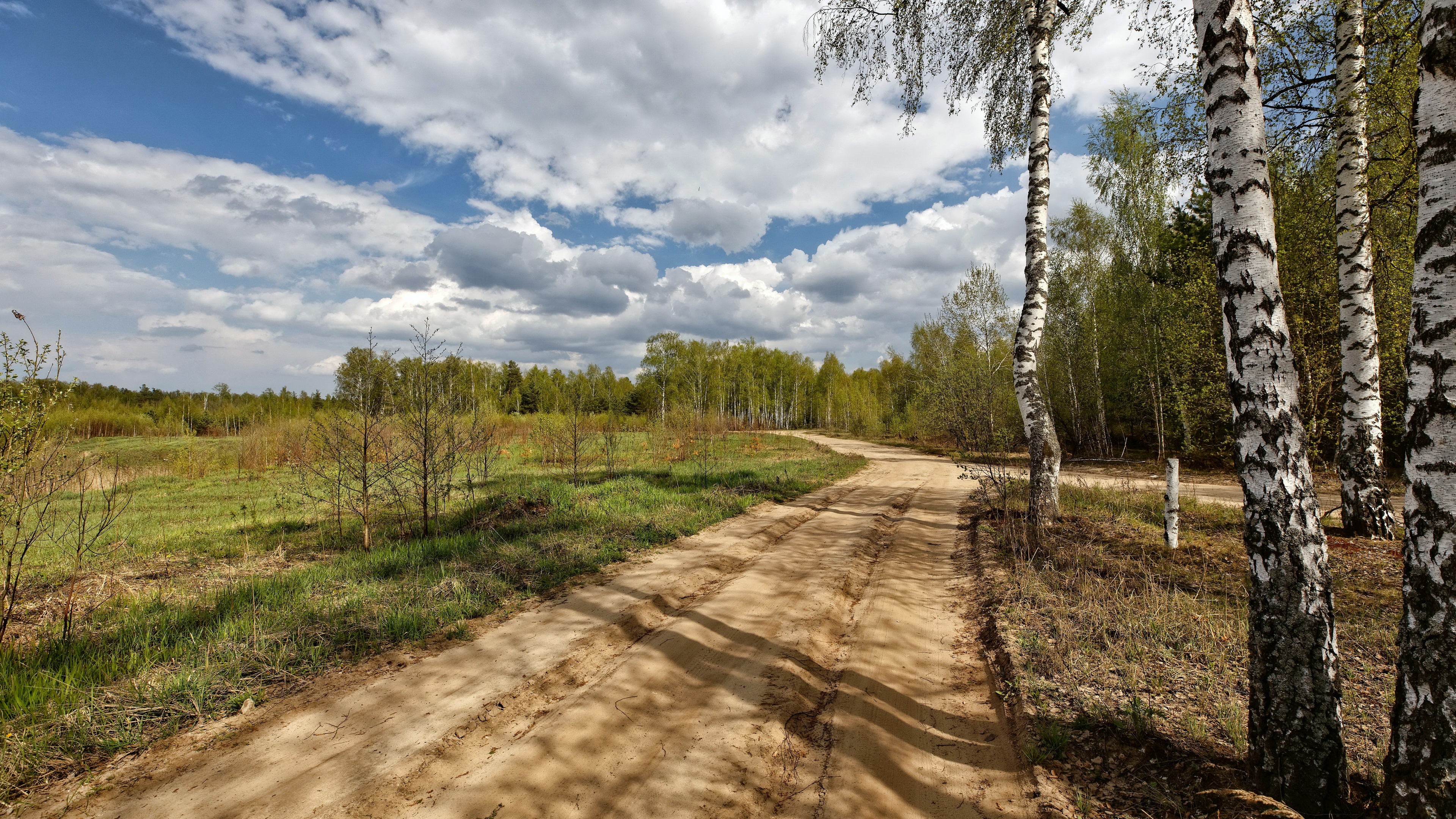 Русская природа дорога