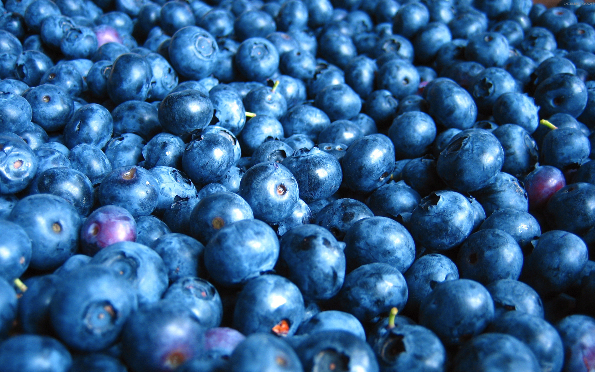 blueberry, food mobile wallpaper