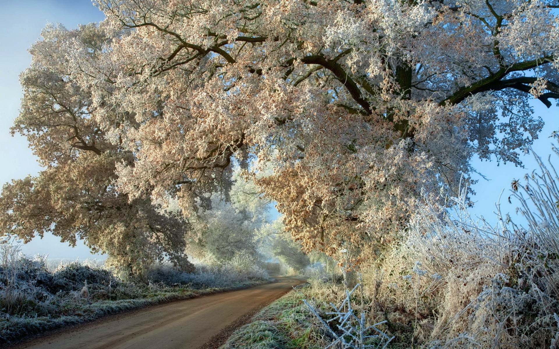 Free download wallpaper Nature, Trees, Landscape, Snow on your PC desktop