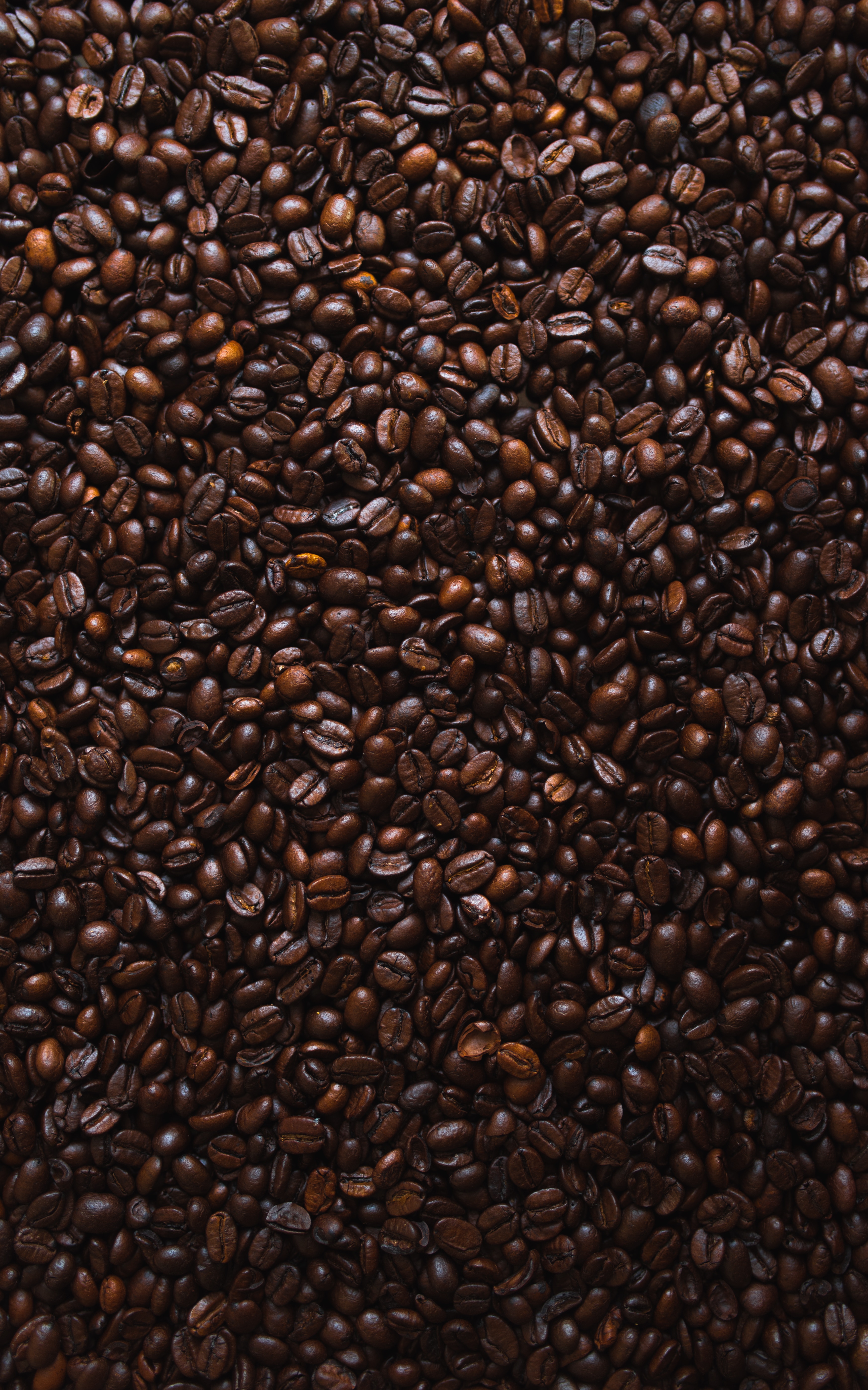 coffee, texture, food, grains, coffee beans, grain, fried, roasted