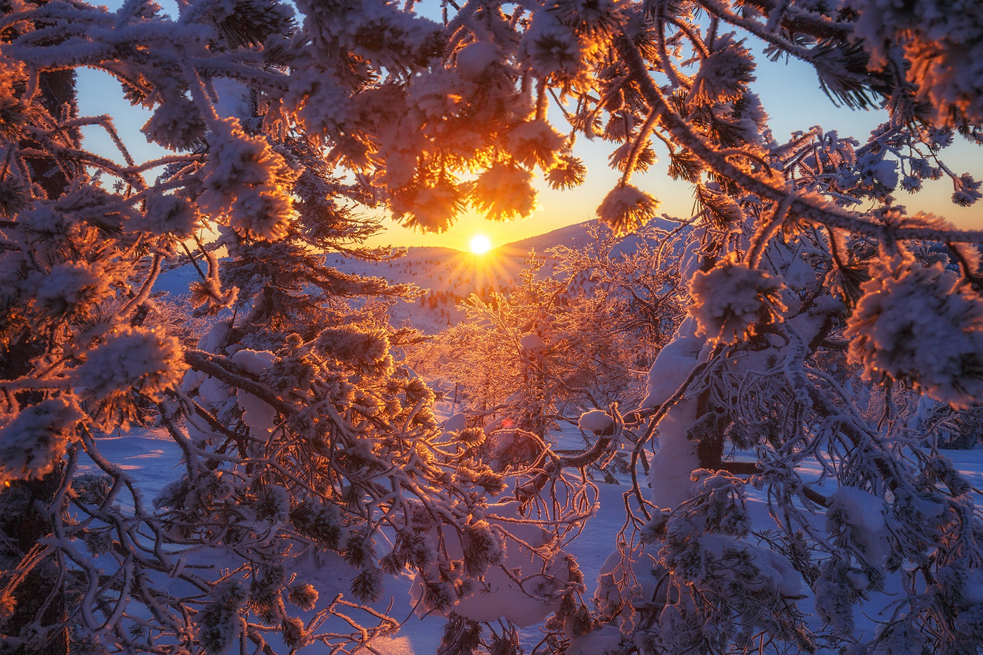 968264 descargar fondo de pantalla tierra/naturaleza, invierno, rama, finlandia, naturaleza, nieve, atardecer: protectores de pantalla e imágenes gratis