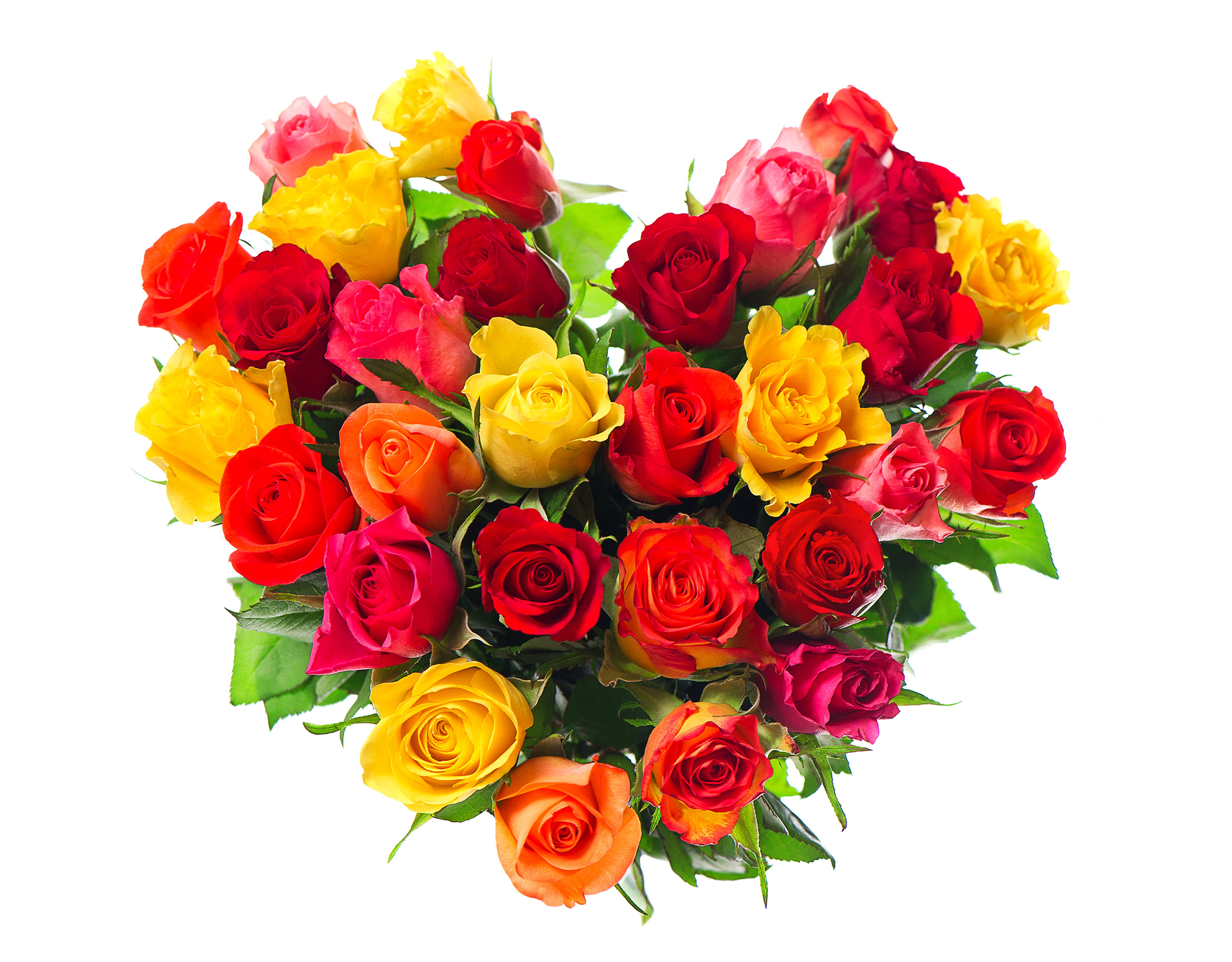 red rose, yellow rose, rose, heart, pink rose, holiday, valentine's day, colorful Full HD