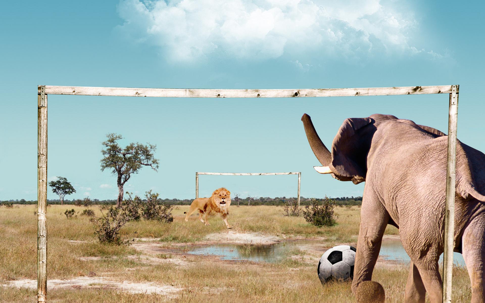 Download mobile wallpaper Elephant, Humor, Lion, Animal for free.