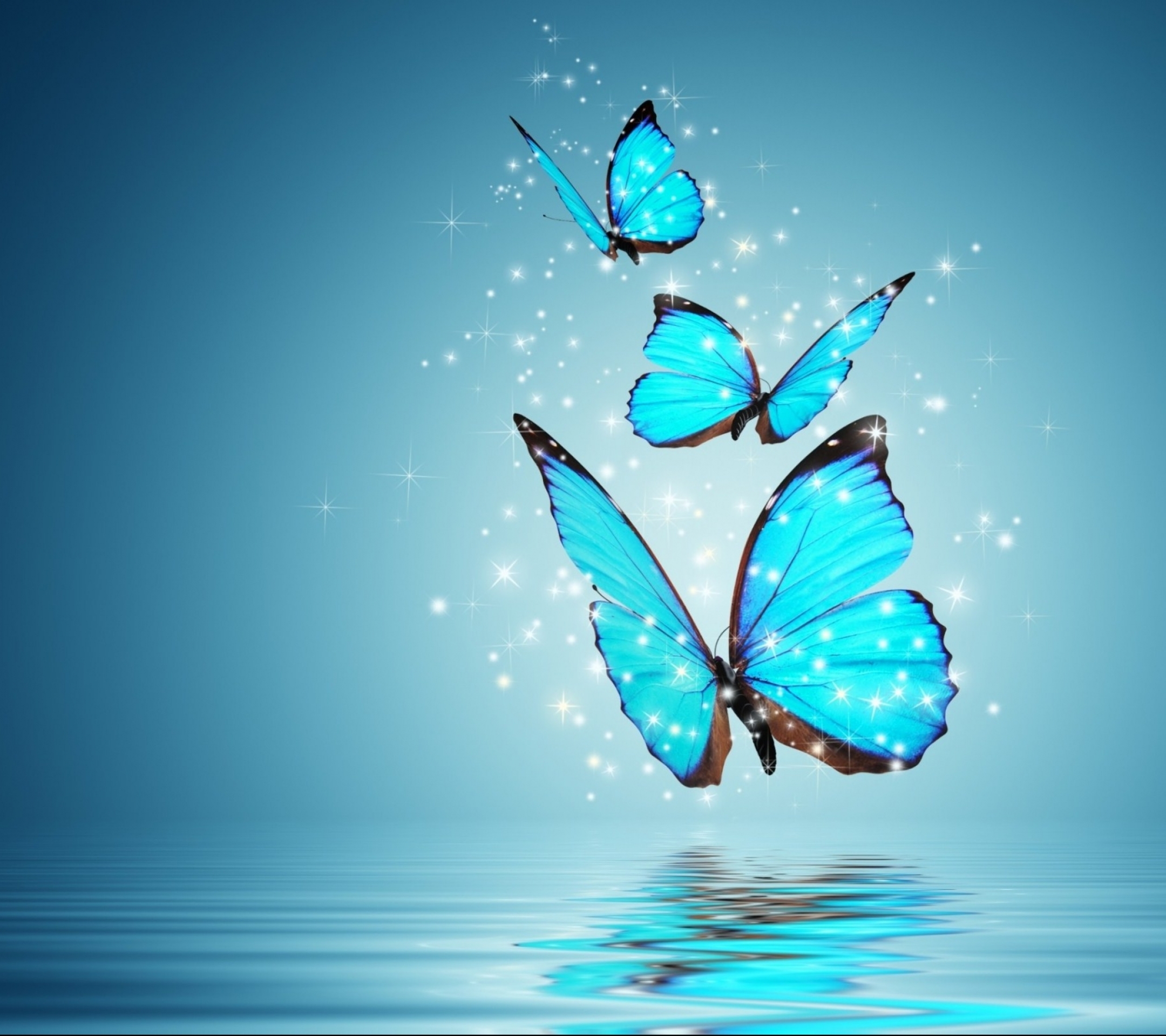 Обои синие бабочки