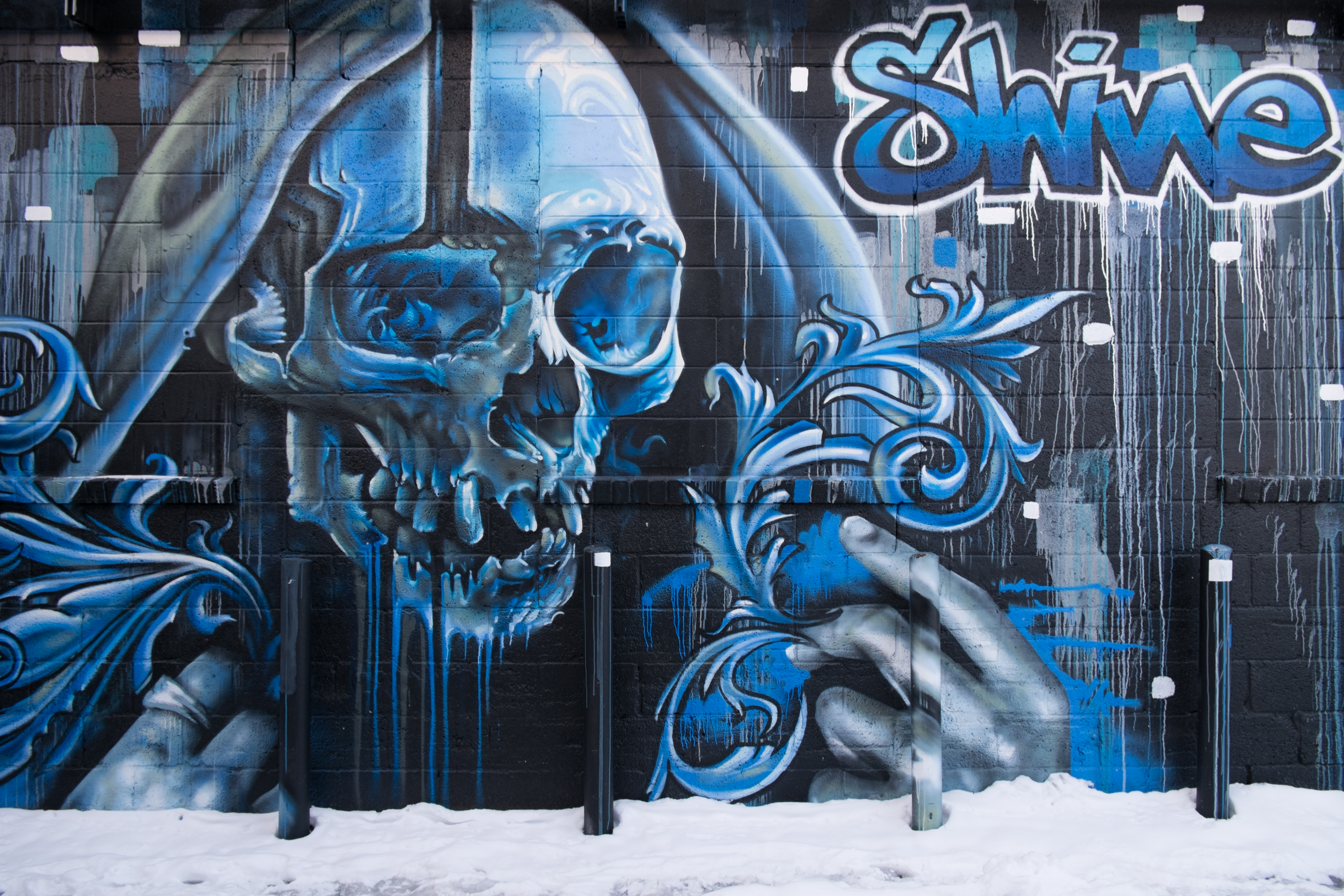 art, skull, street art, graffiti, wall