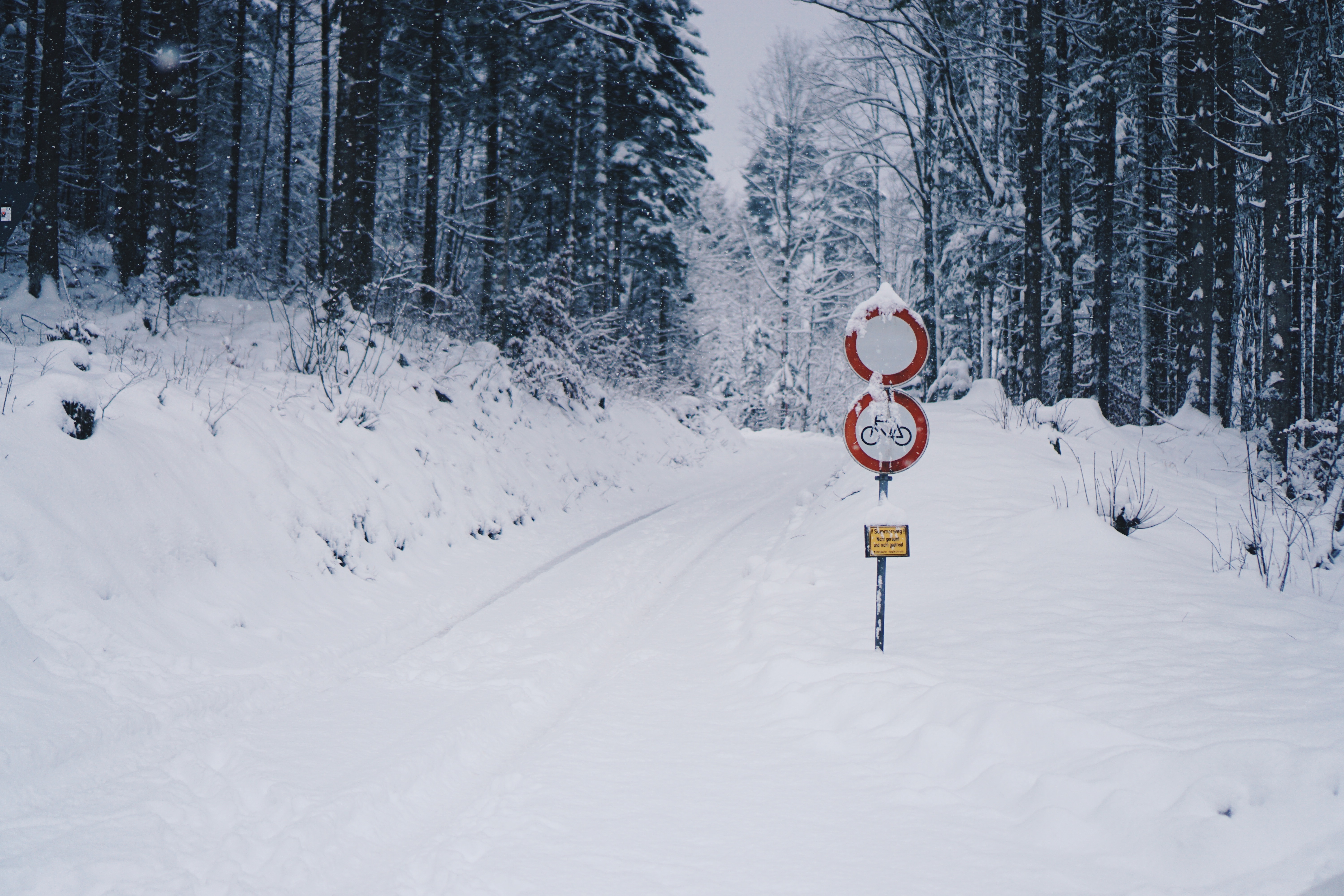 android winter, snow, miscellanea, miscellaneous, road, forest, pointer