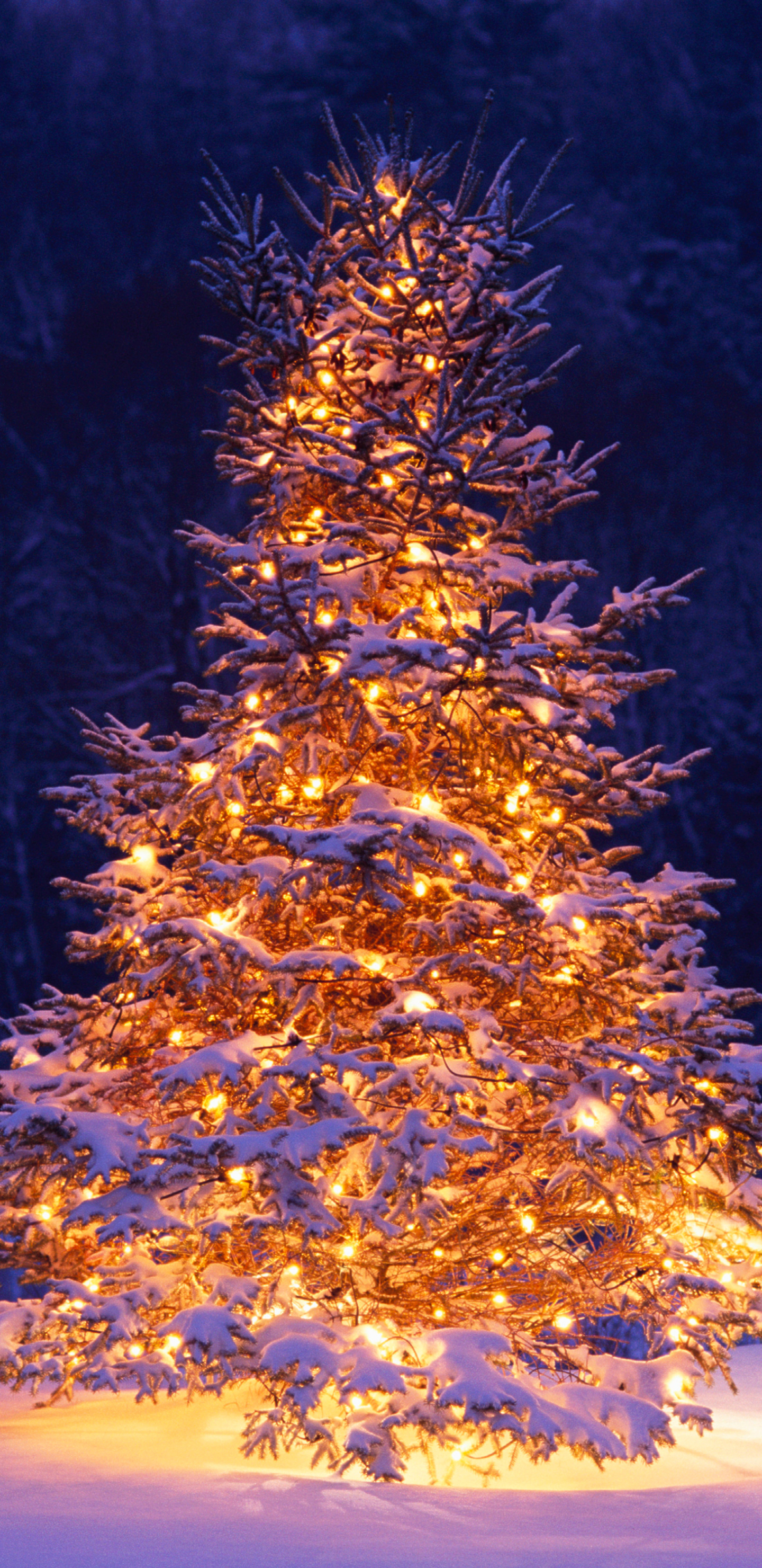 1290348 Hintergrundbild herunterladen weihnachten, feiertage, stuhl, lichter, weihnachtsbaum, schnee, baum, winter - Bildschirmschoner und Bilder kostenlos
