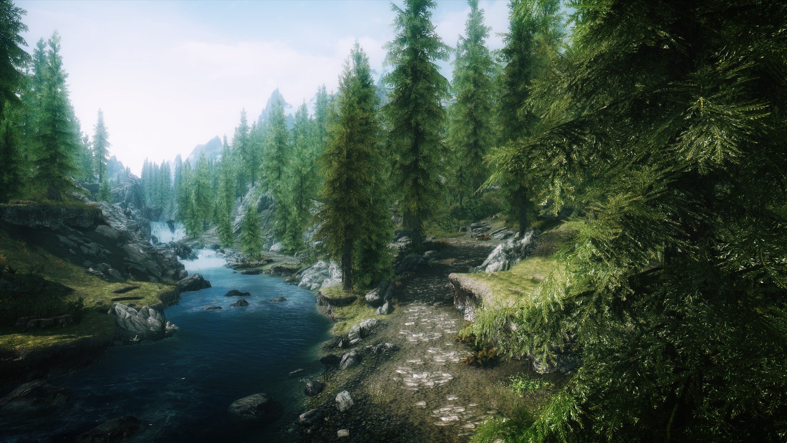 Skyrim special edition стим фото 60