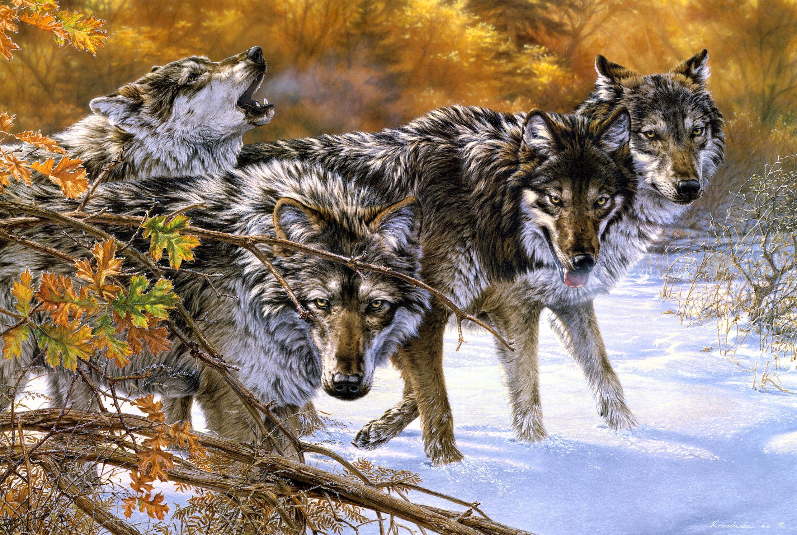 Татьяна Данчурова картины волки
