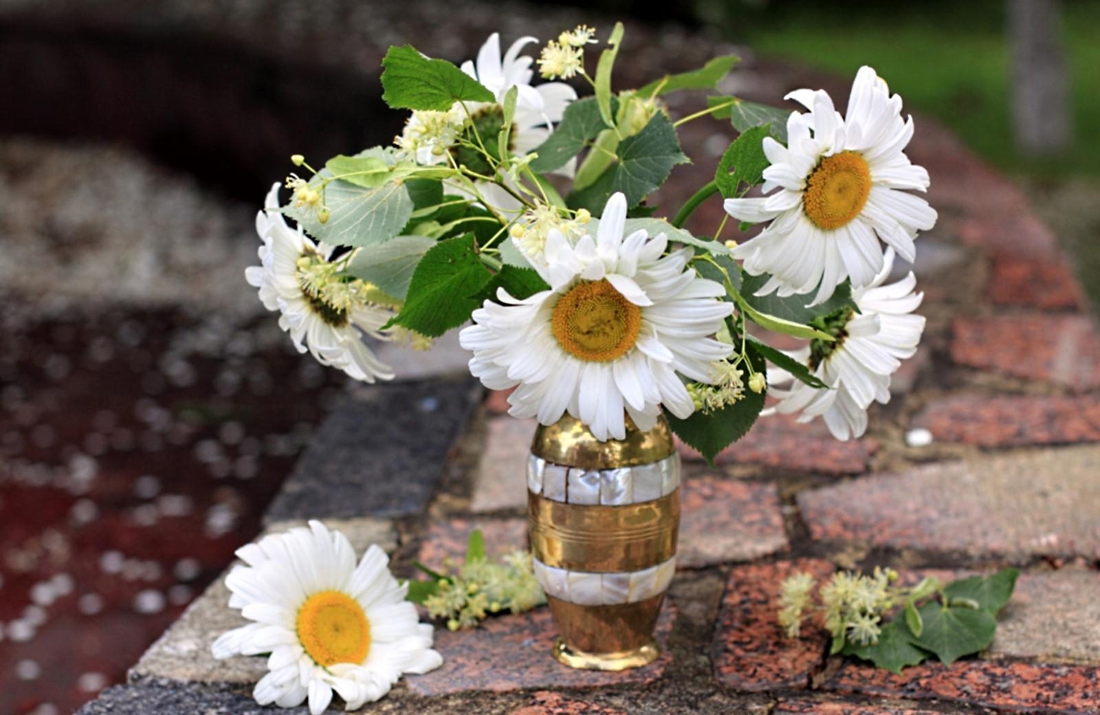 Download mobile wallpaper Flowers, Bud, Bouquet, Camomile, Vase for free.