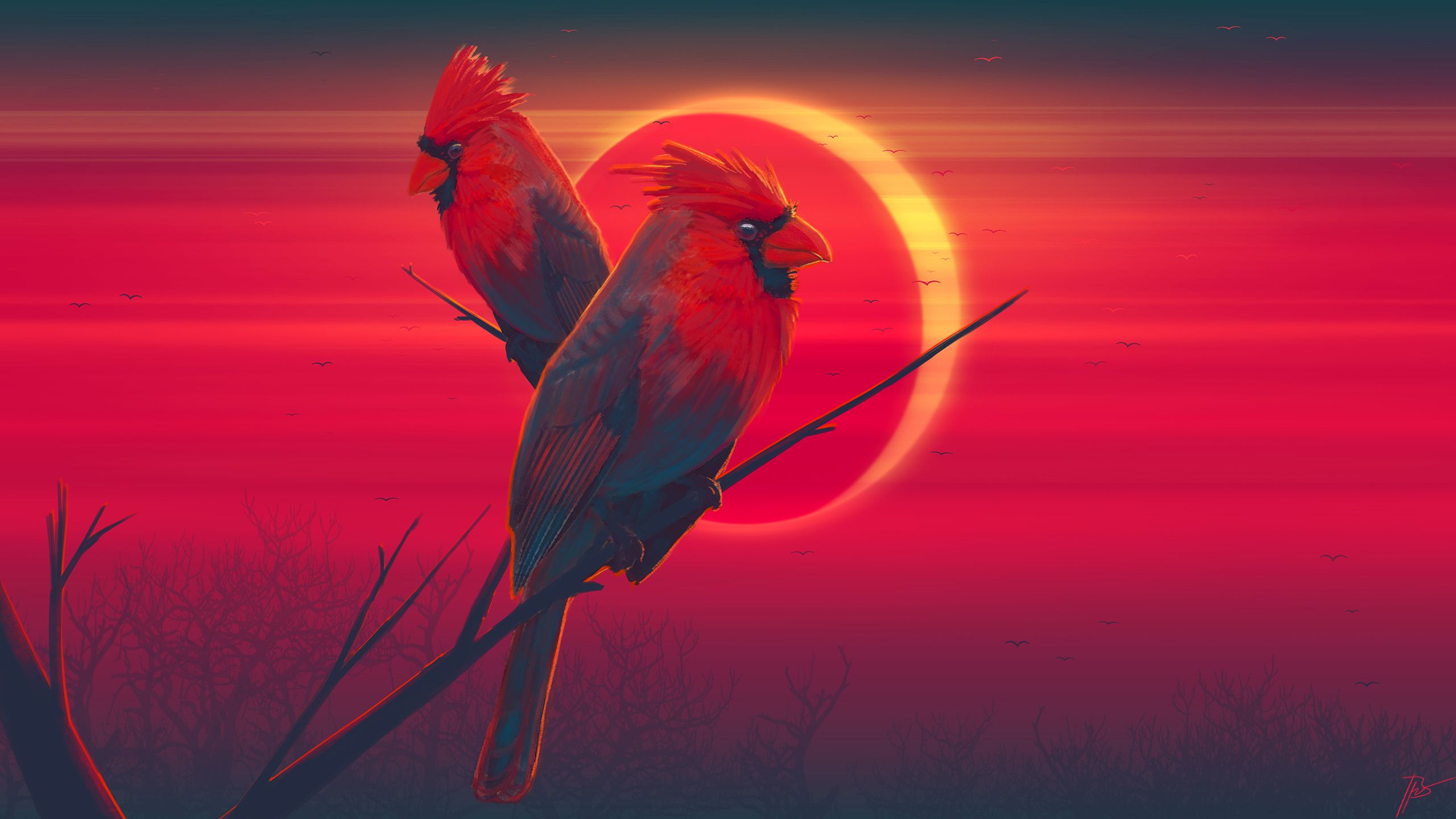animal, cardinal, bird, eclipse, birds
