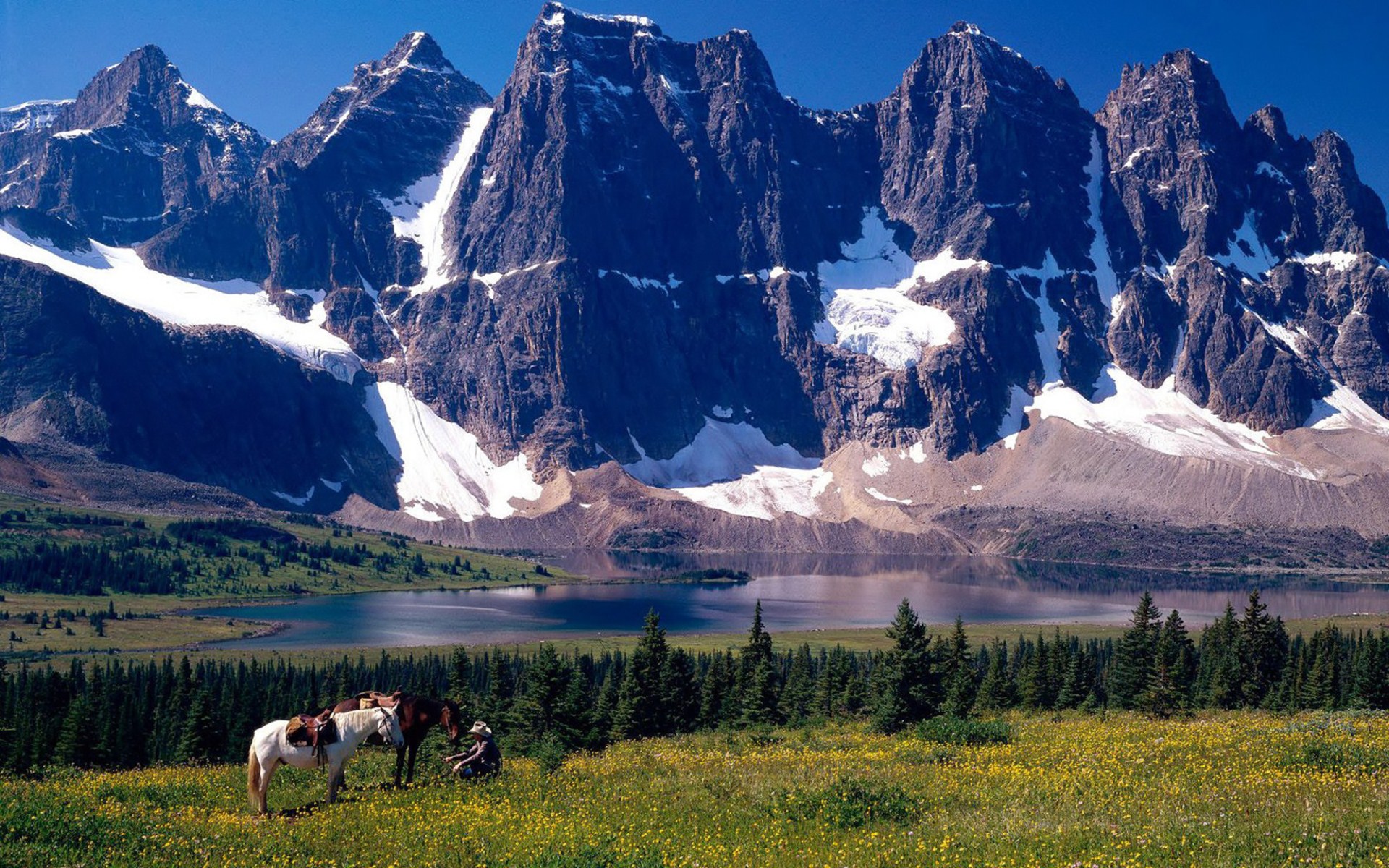 Большое разнообразие природы северной америки. Кордильеры Канады. Скалистые горы Кордильеры. Канада горы Кордильеры.