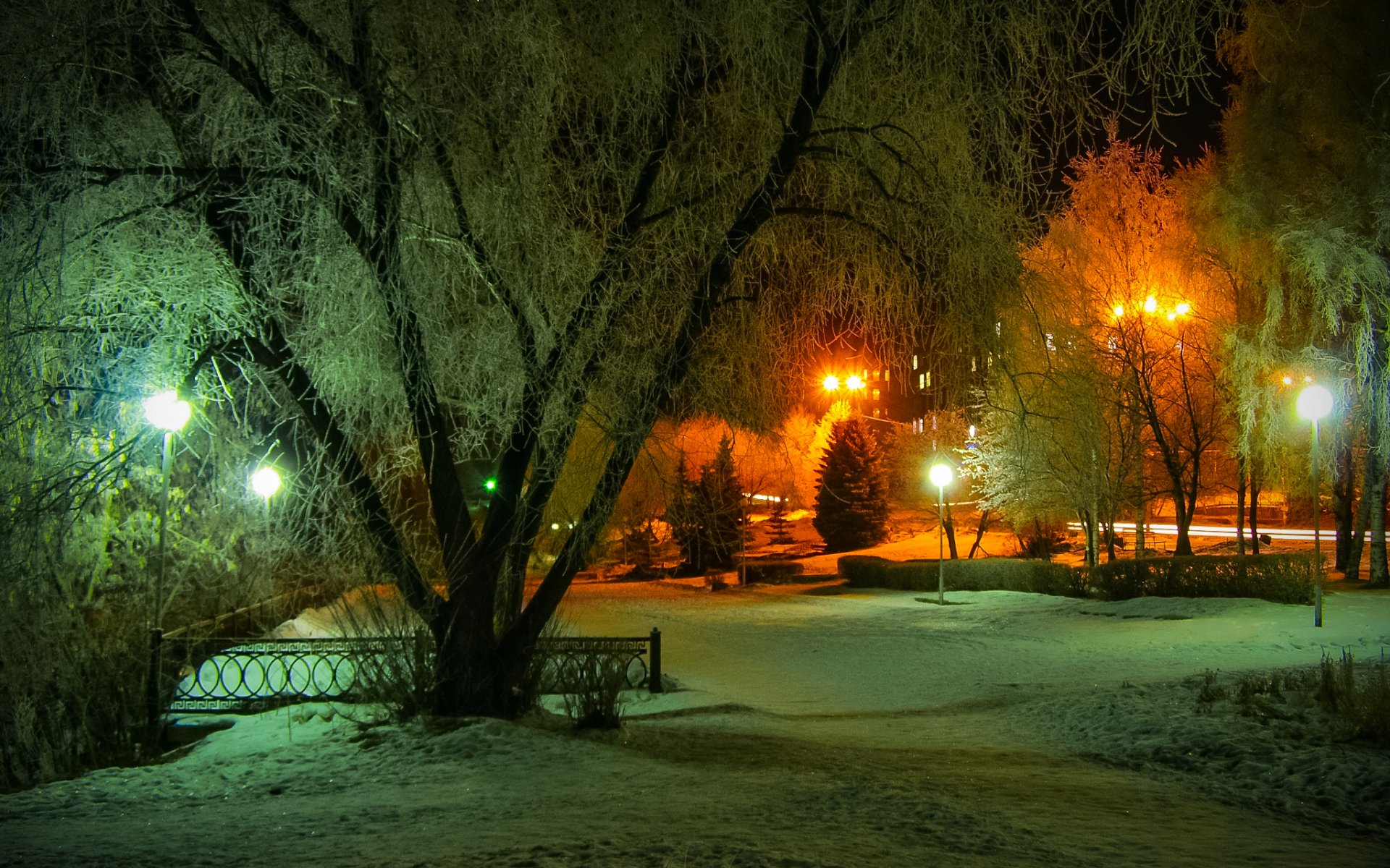 Free HD winter, photography, park, light, night, snow, street light, tree