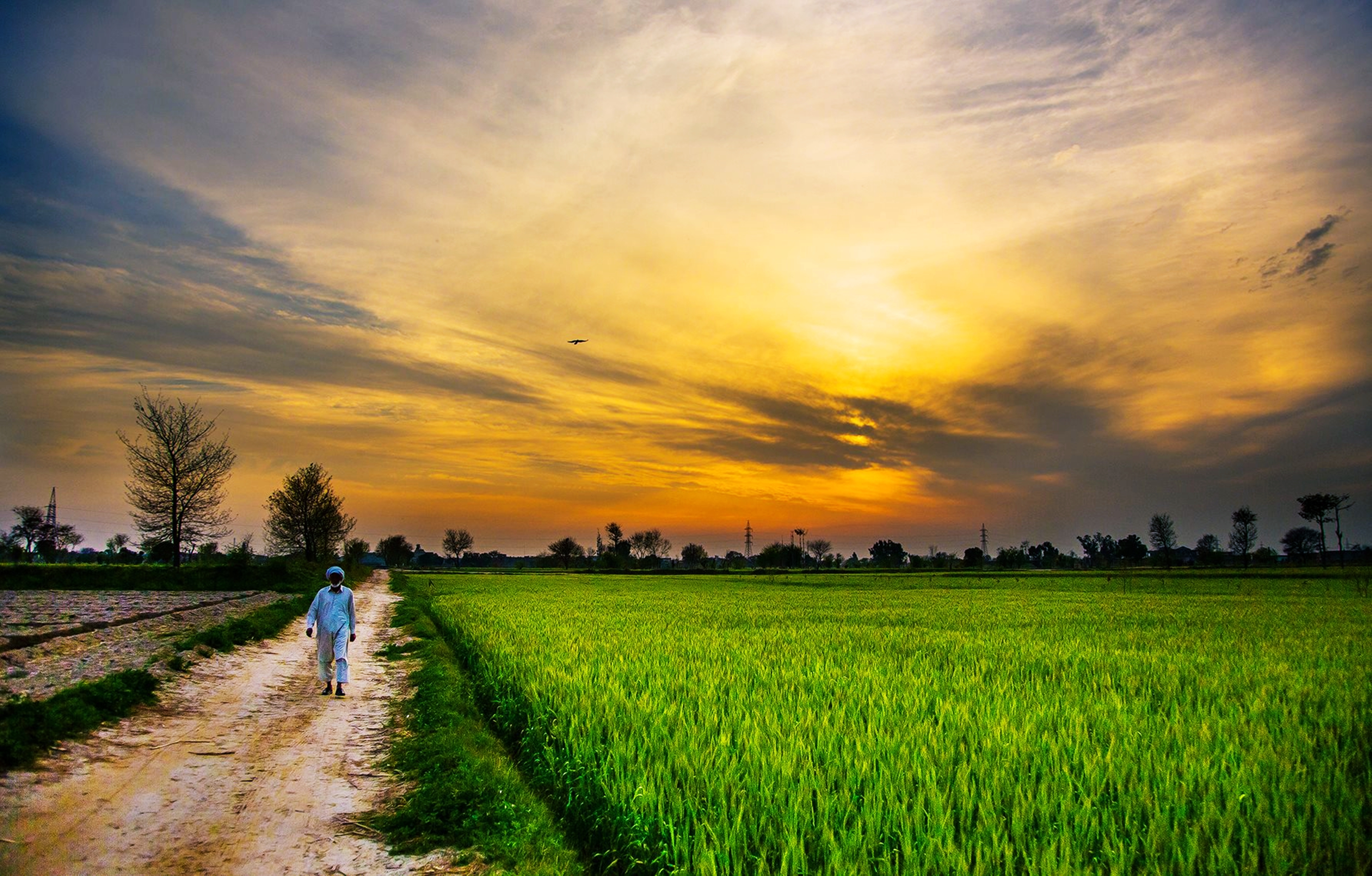 field, landscape, photography, countryside, nature, pakistan, sunset 4K