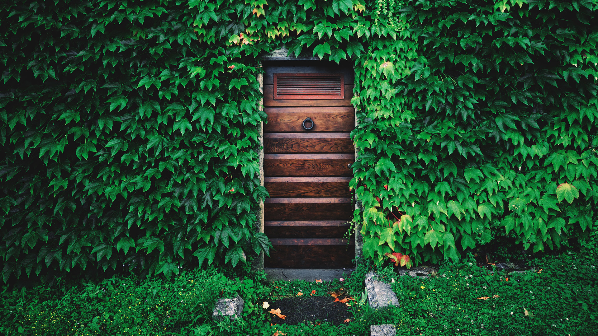 man made, door, green, house, ivy