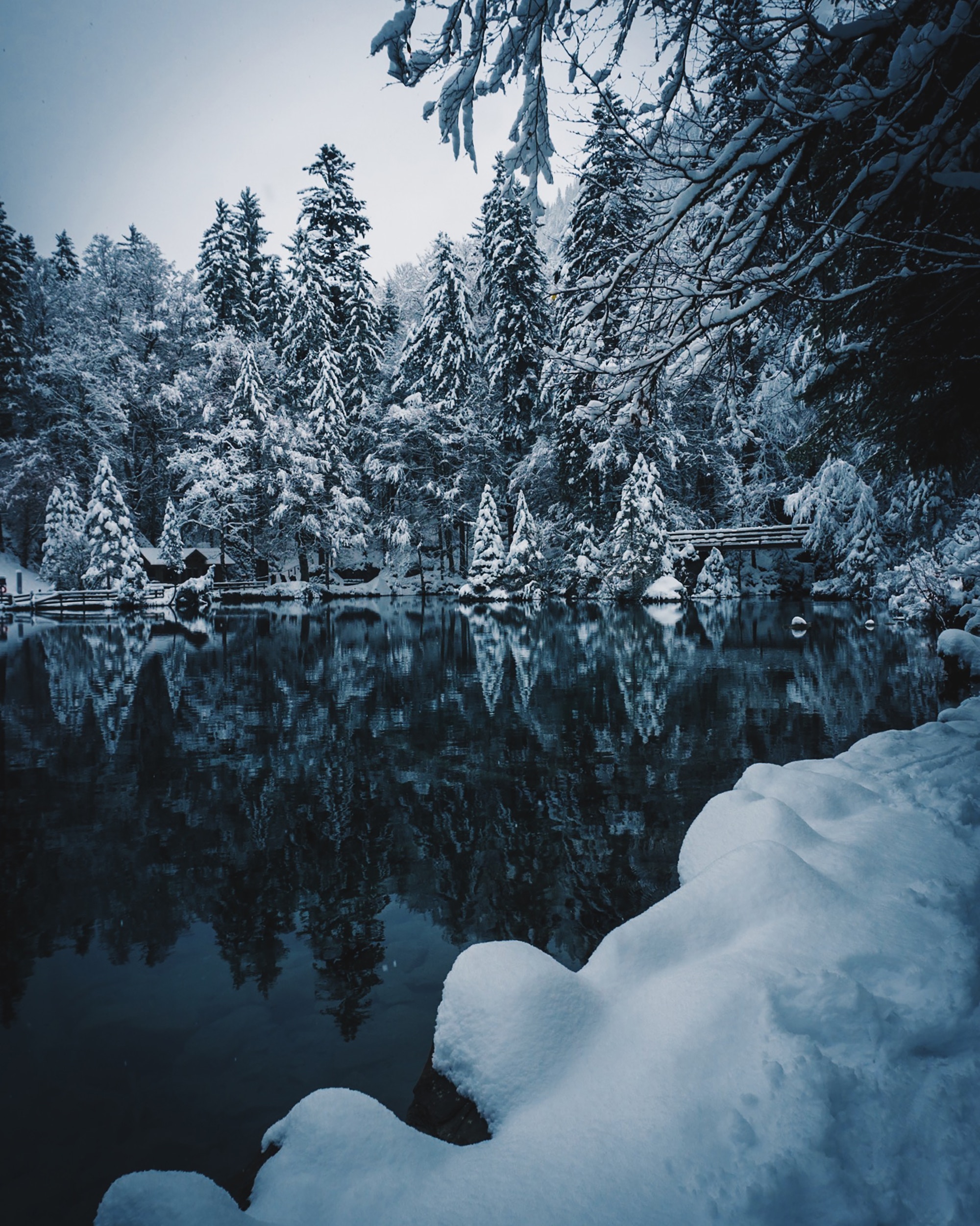 Download mobile wallpaper Snowbound, Snow, Branches, Winter, Lake, Nature, Snow Covered for free.