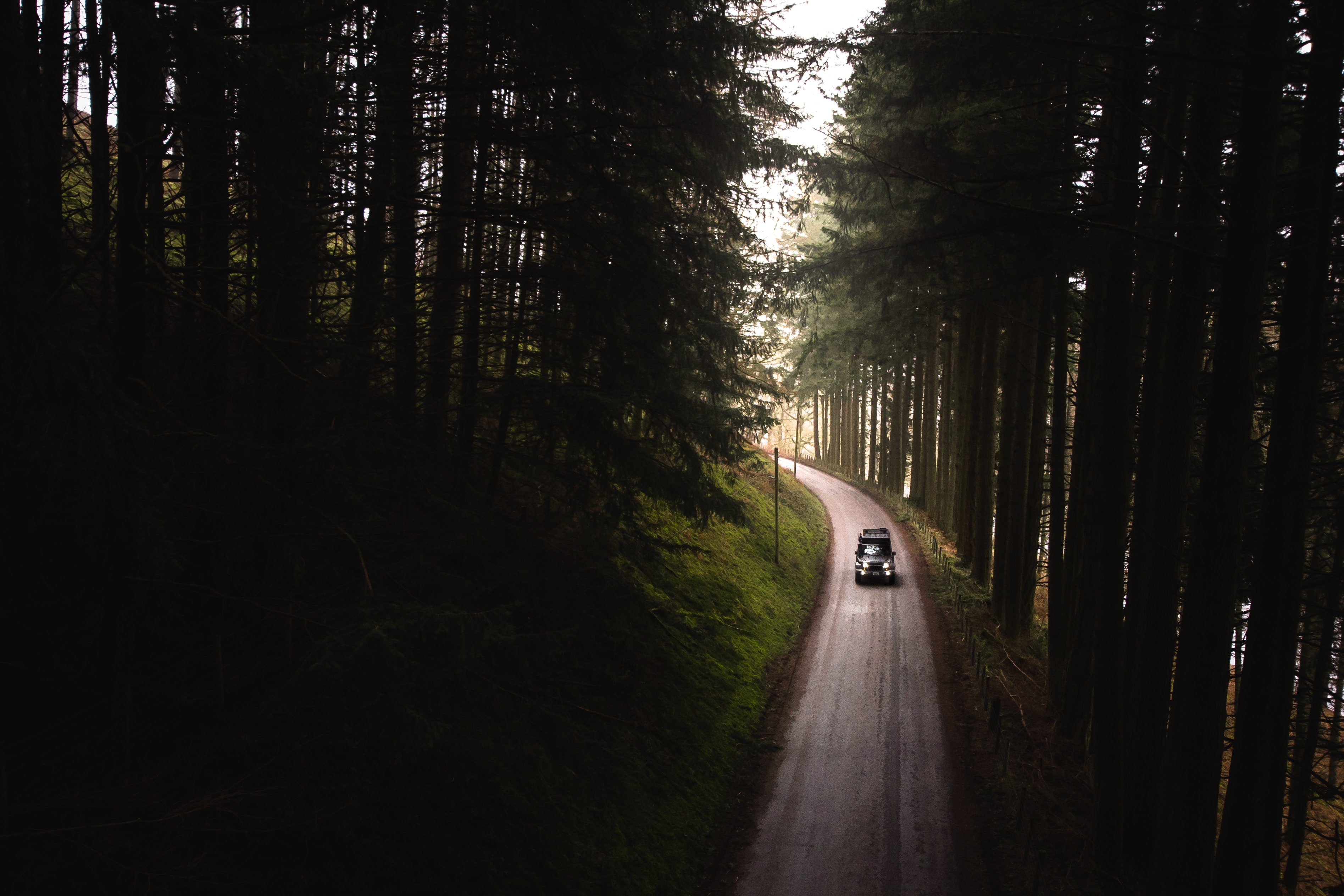 Дорога ведет в лес. Дорога в лесу. Лес вид с дороги. Машина на Лесной дороге. Лесная дорога вид сверху.
